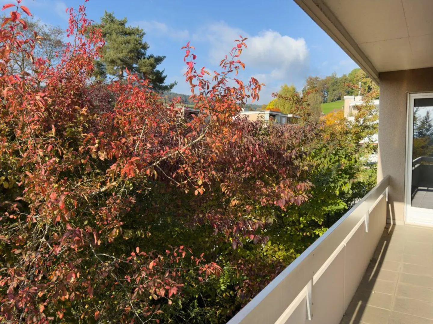 Appartement en copropriété de 4,5 pièces dans un emplacement ensoleillé et adapté aux enfants avec vue dégagée - Photo 19 sur 29
