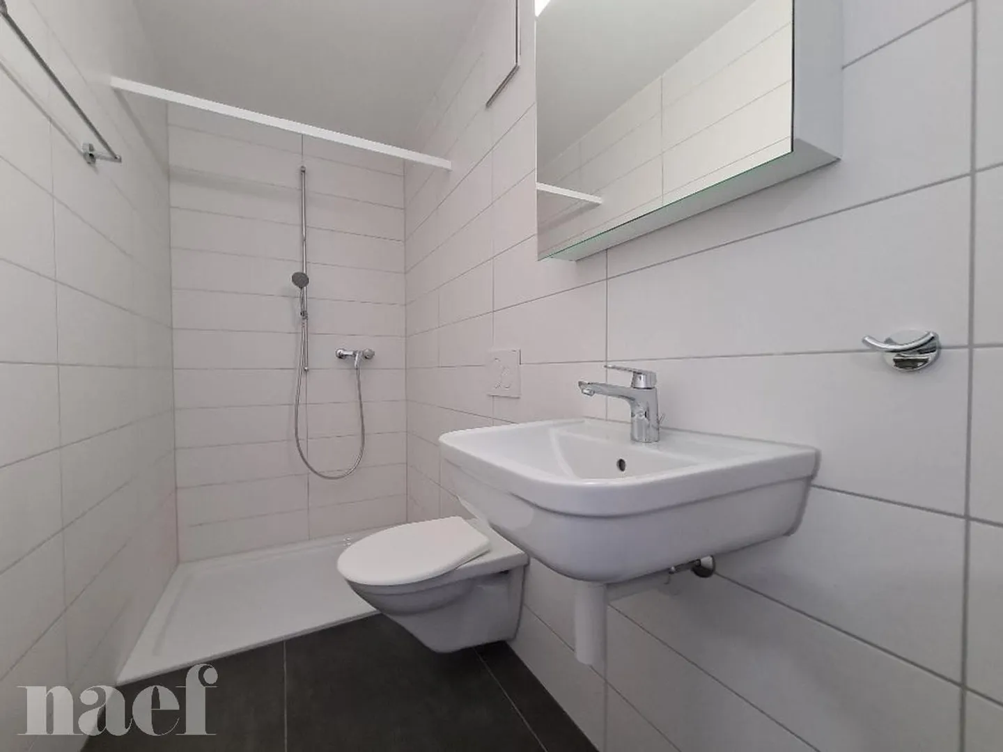 Beautiful 4.5 room apartment for rent in Dompierre! - Photo 8 of 12