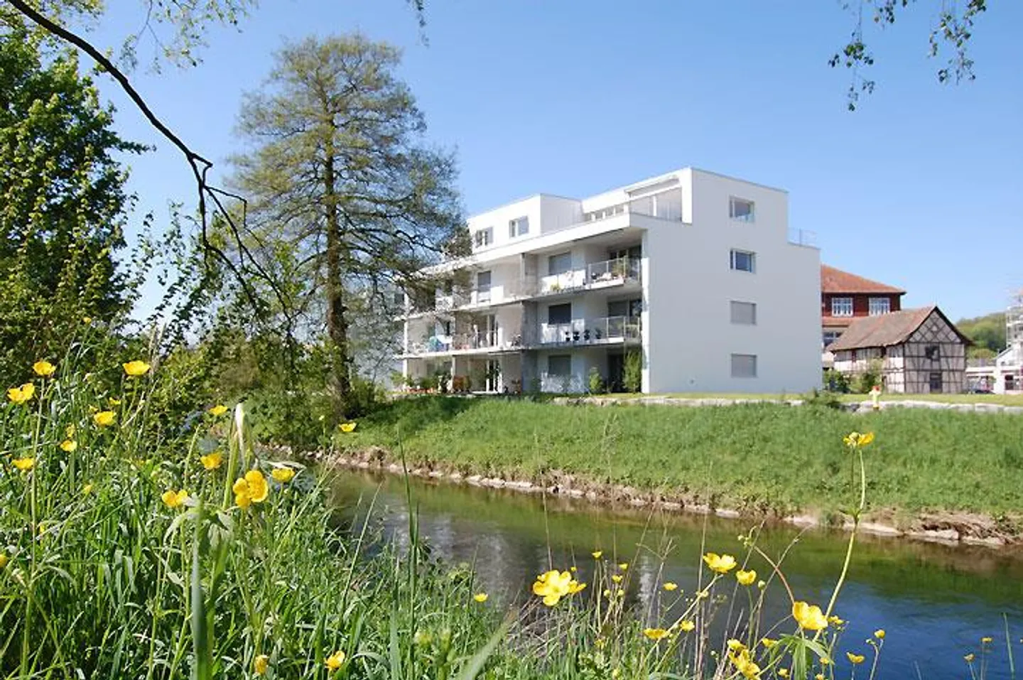 Modern apartment in the green! - Photo 3 of 7