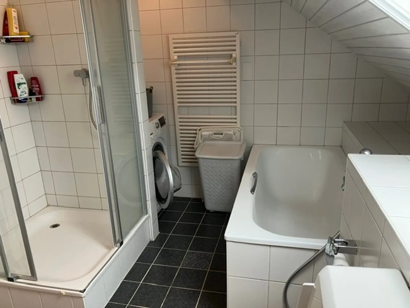Casa tranquilla vicino a Zurigo - Foto 7 di 10
