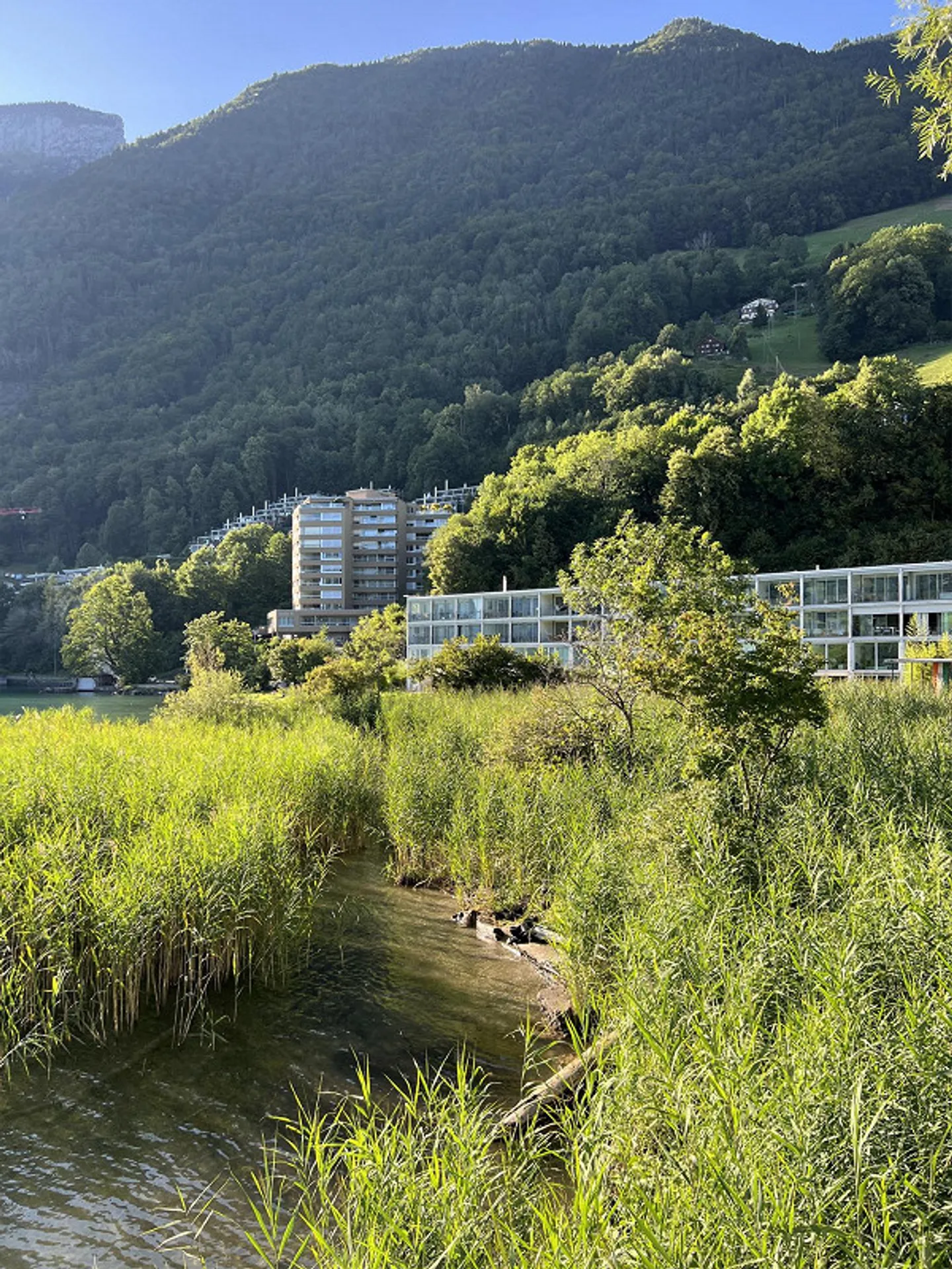Maison de Plage au Lac de Lucerne - Photo 22 sur 29