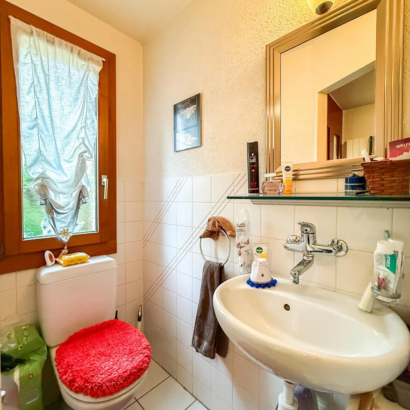 Casa unifamiliare di 5,5 stanze con molto spazio per sogni abitativi individuali - Foto 4 di 17