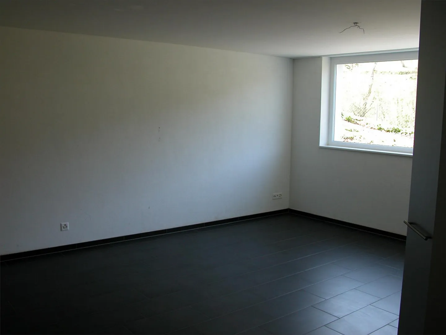 Spacious and friendly 1-room apartment in a rural setting - Photo 3 of 6