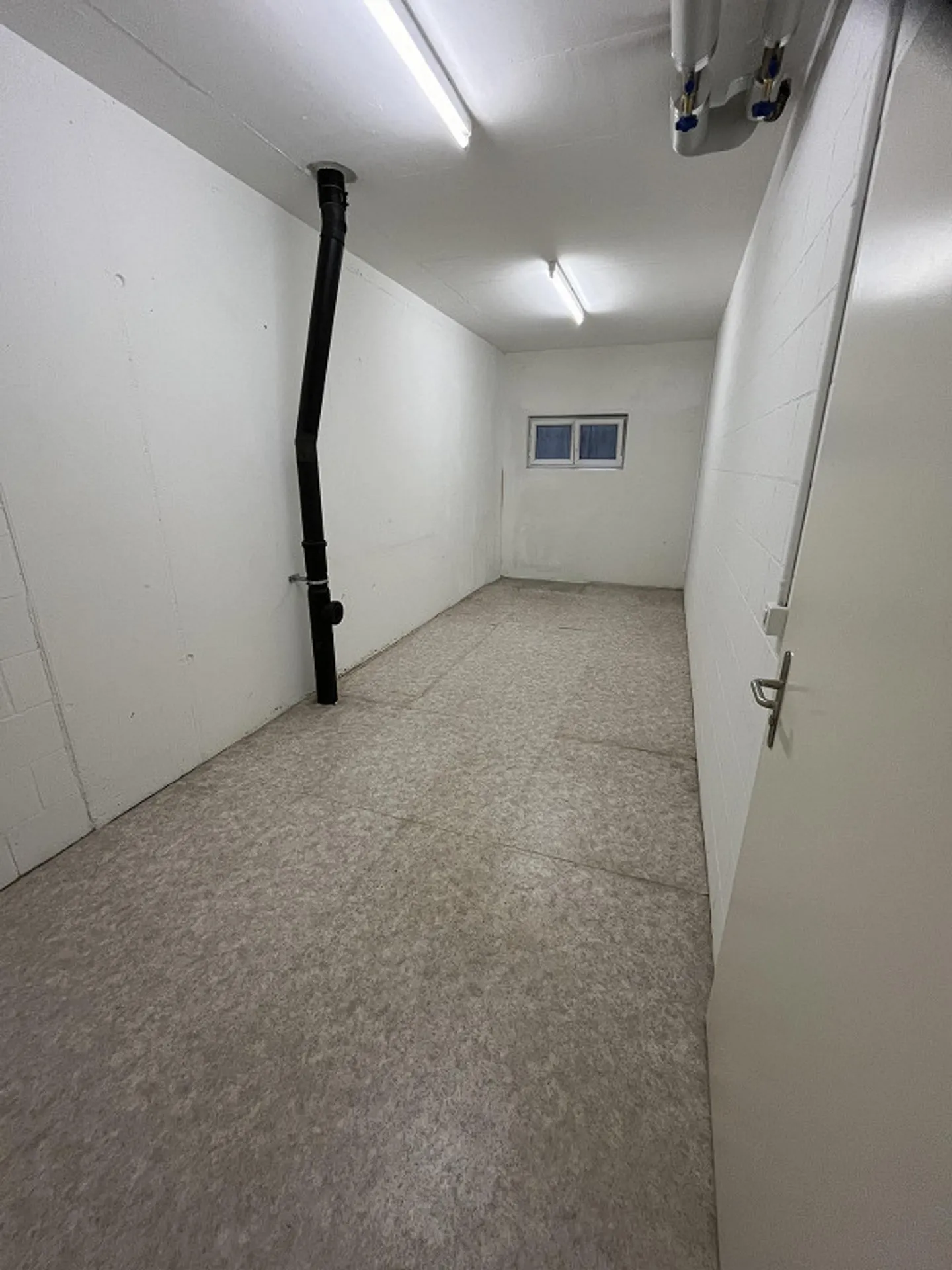 La tua nuova casa nel quartiere Neufeld - Foto 16 di 17