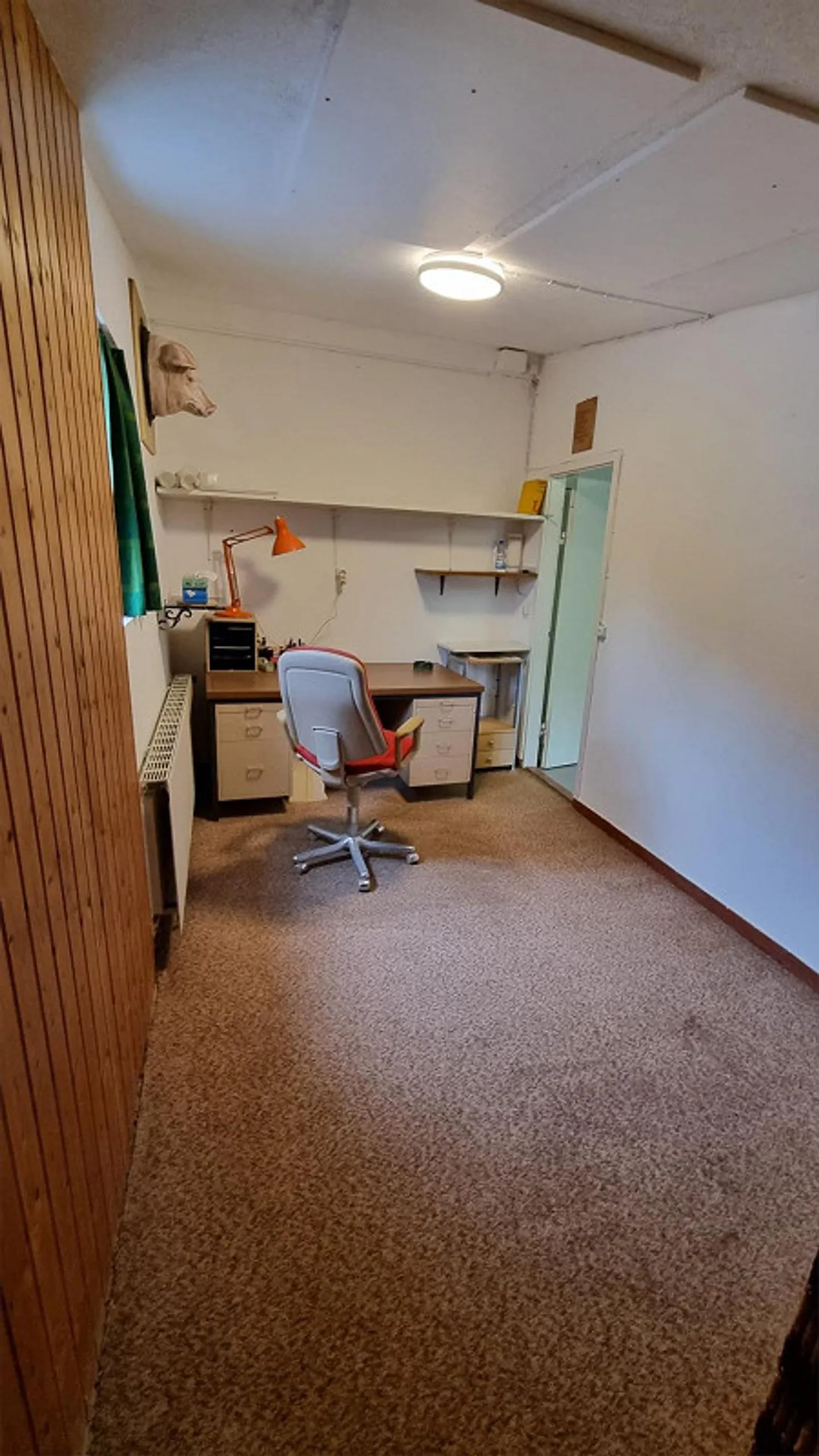 Storage Room / Workshop - Photo 6 of 13