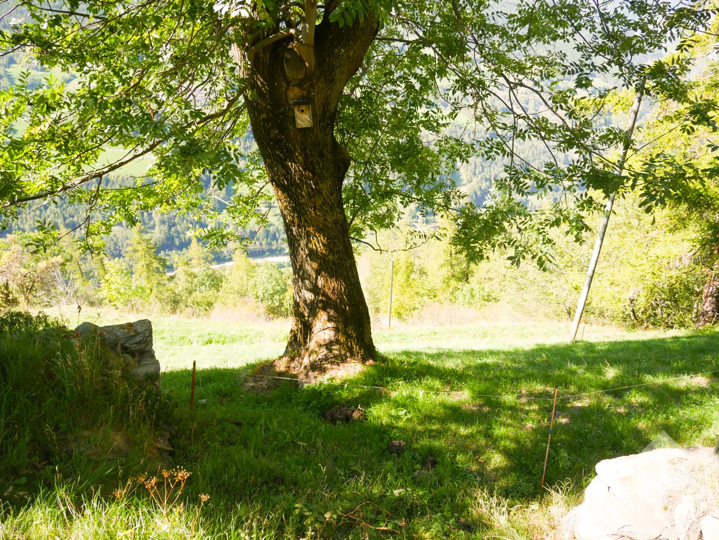 Grande casa familiare con enorme potenziale a La Rosière - Foto 23 di 35
