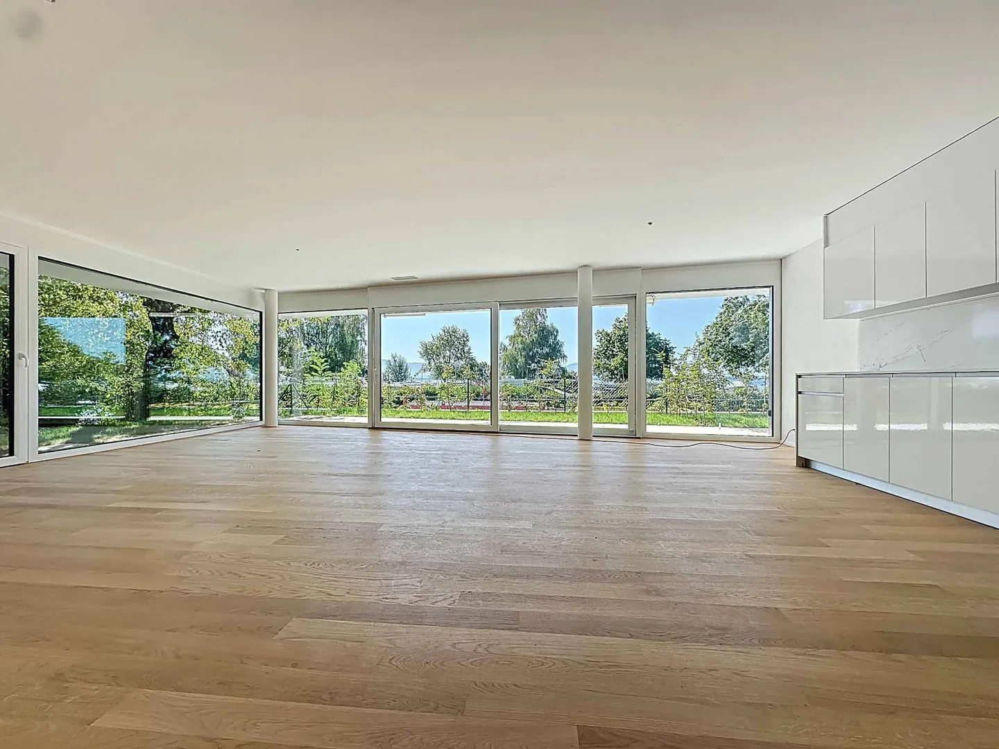 Eccezionale appartamento di 5,5 stanze al piano terra con terrazza e giardino privato - Foto 3 di 13