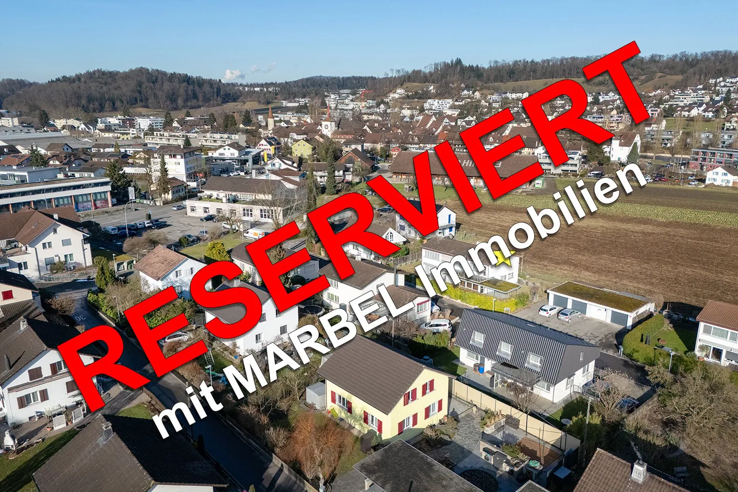 Incantevole casa familiare a Mellingen - Foto 1 di 14