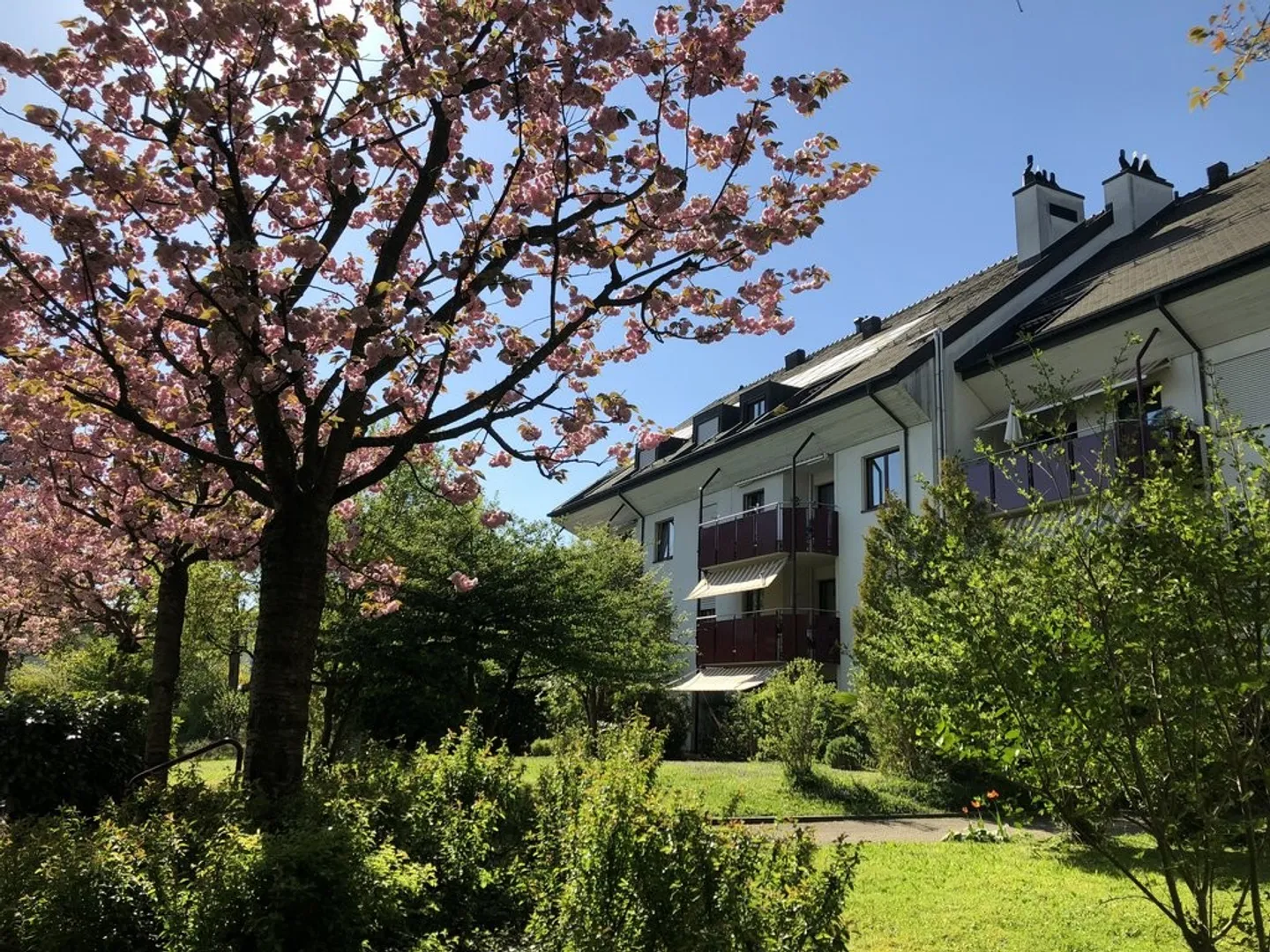 Appartamento familiare a Basilea - Foto 1 di 9