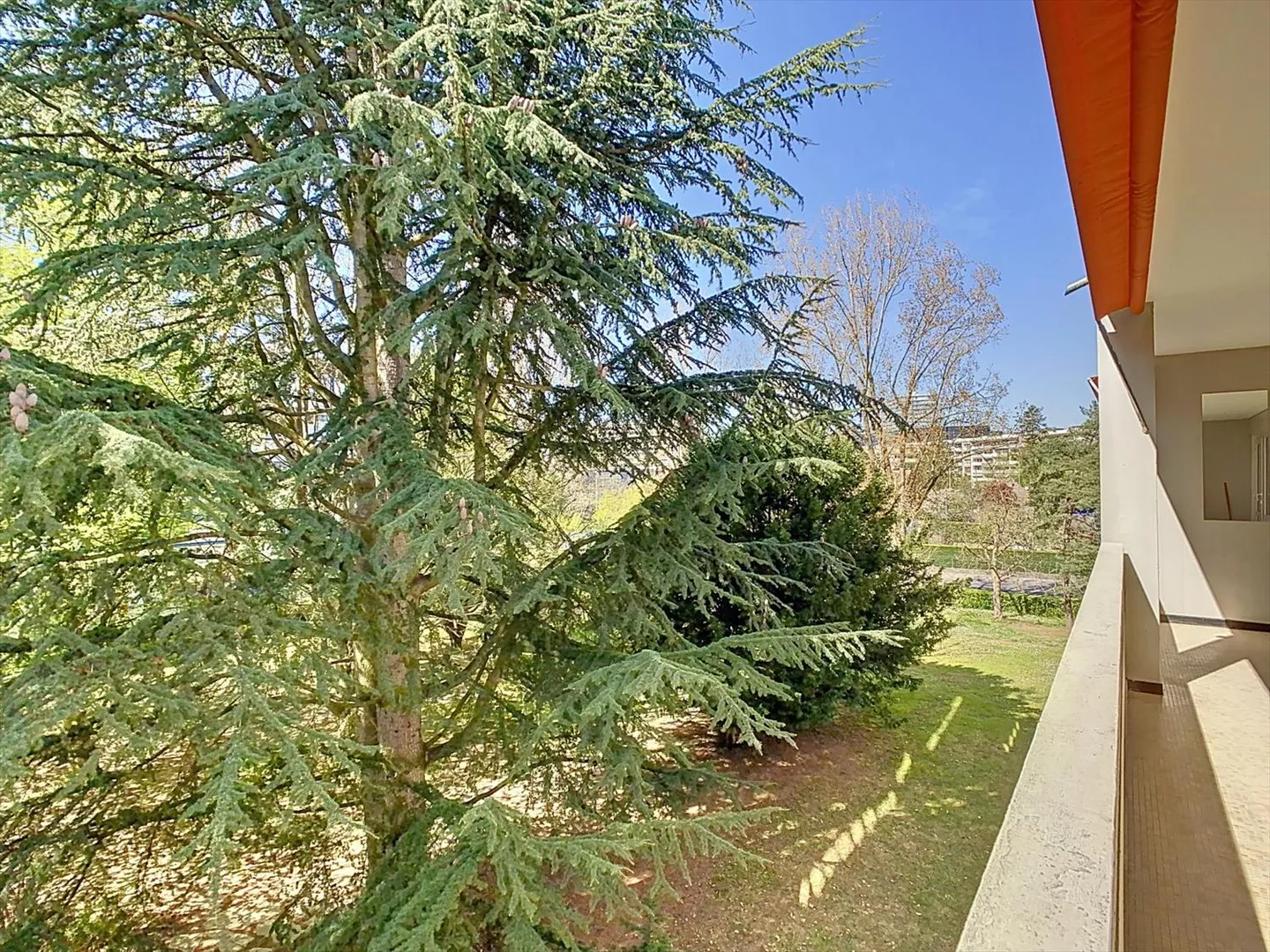 Appartamento in affitto - Foto 1 di 10