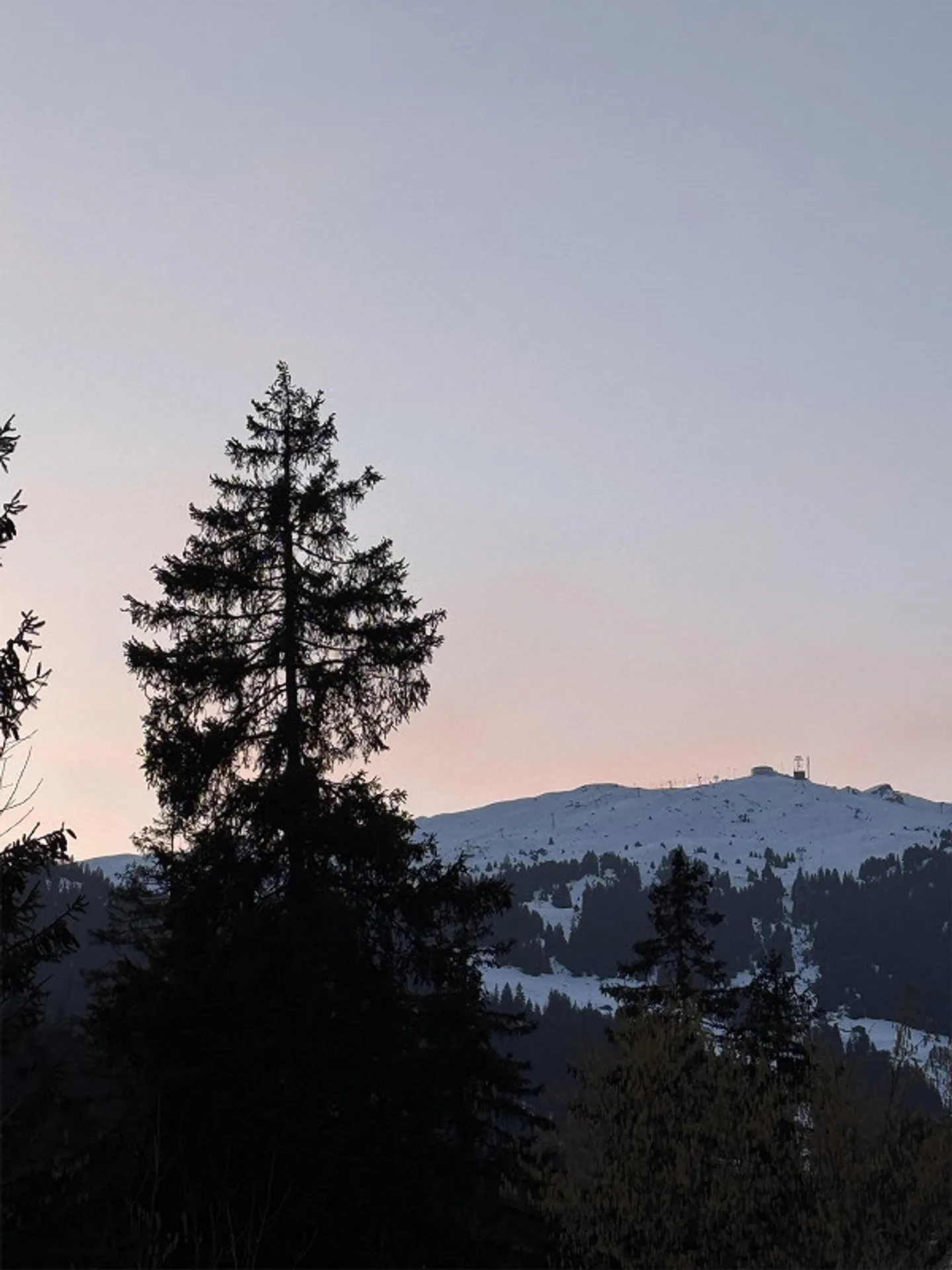 Appartamento al piano terra arredato a Laax, stagione estiva e autunnale (giugno-ottobre) - Foto 5 di 15