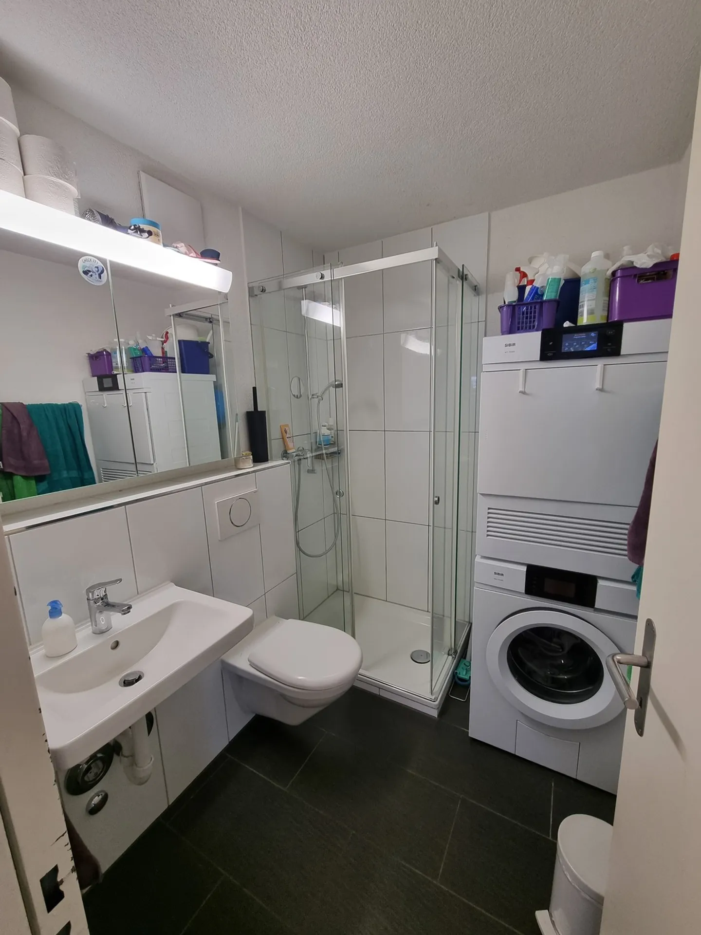 5½ ROOM APARTMENT IN ZURICH - DISTRICT 10 HÖNGG, FURNISHED, TEMPORARY - Photo 6 of 6