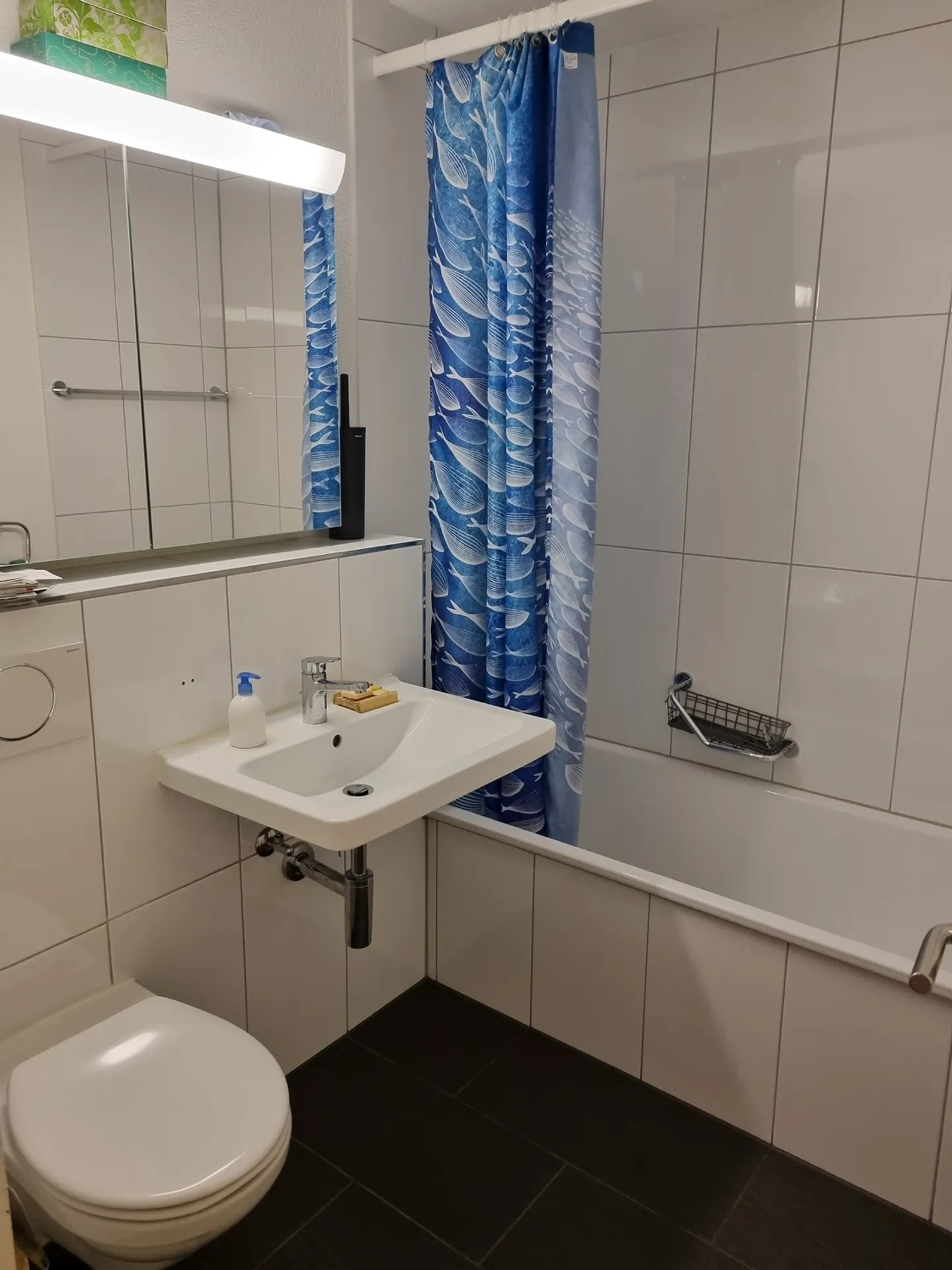 5½ ROOM APARTMENT IN ZURICH - DISTRICT 10 HÖNGG, FURNISHED, TEMPORARY - Photo 5 of 6