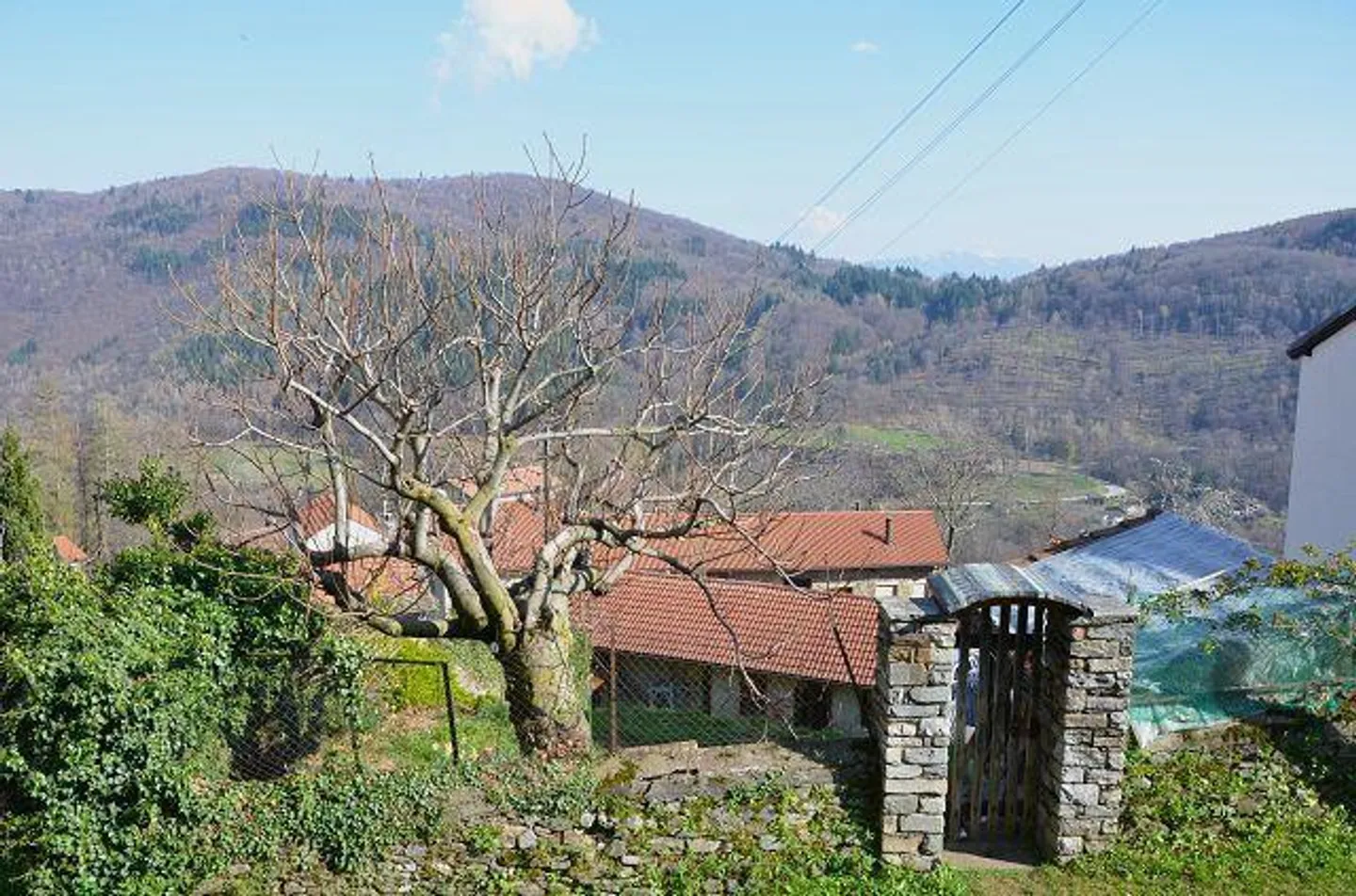 «Grande rustico su 2 piani con possibilità di ampliamento molto soleggiata, tranquilla / grosses Rustico zum Ausbauen an sehr ruhiger, sonniger Lage» - Foto 20 di 24