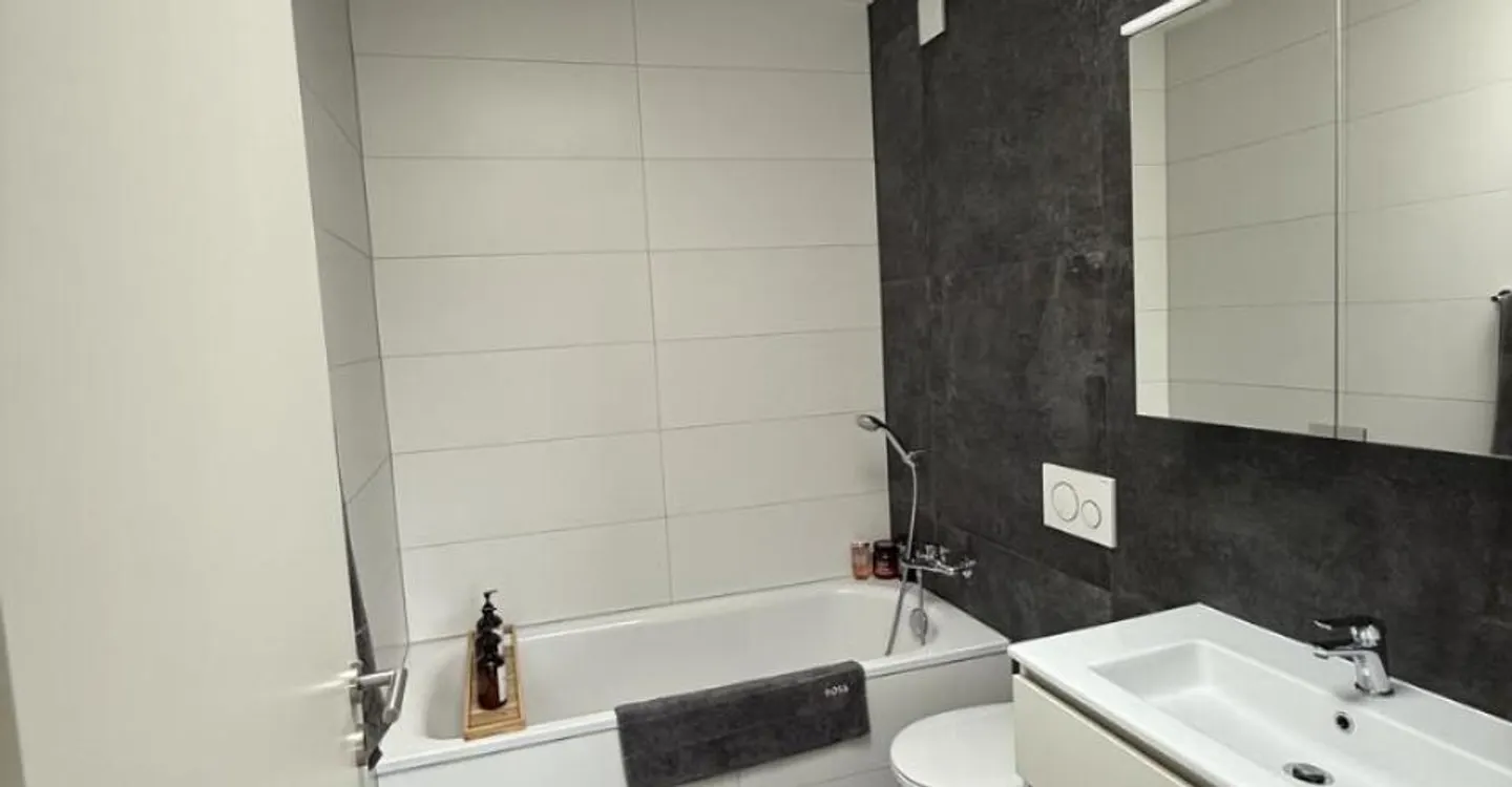 ATTICO SPAZIOSO DI 3½ STANZE - Foto 10 di 11