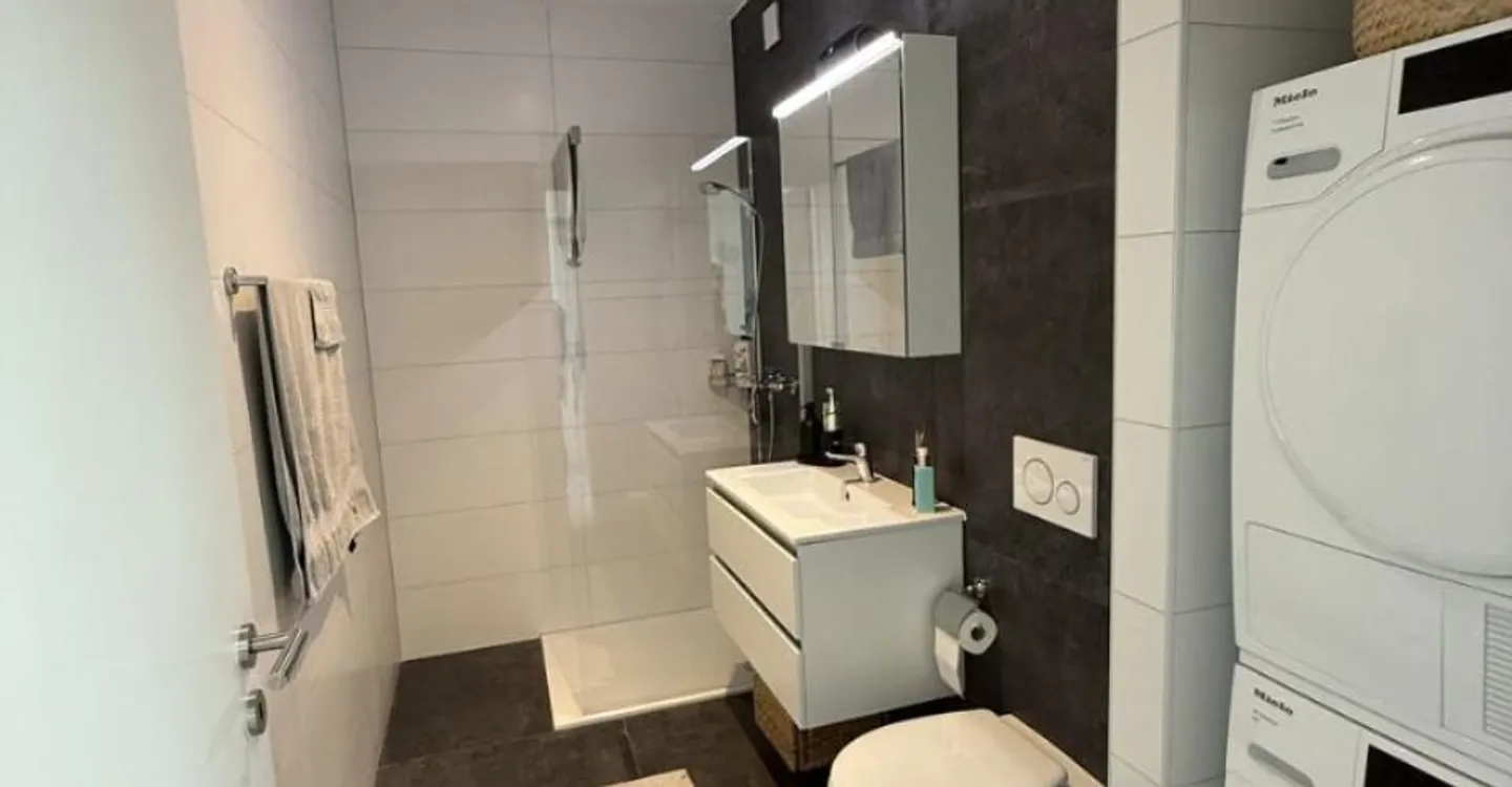 ATTICO SPAZIOSO DI 3½ STANZE - Foto 11 di 11