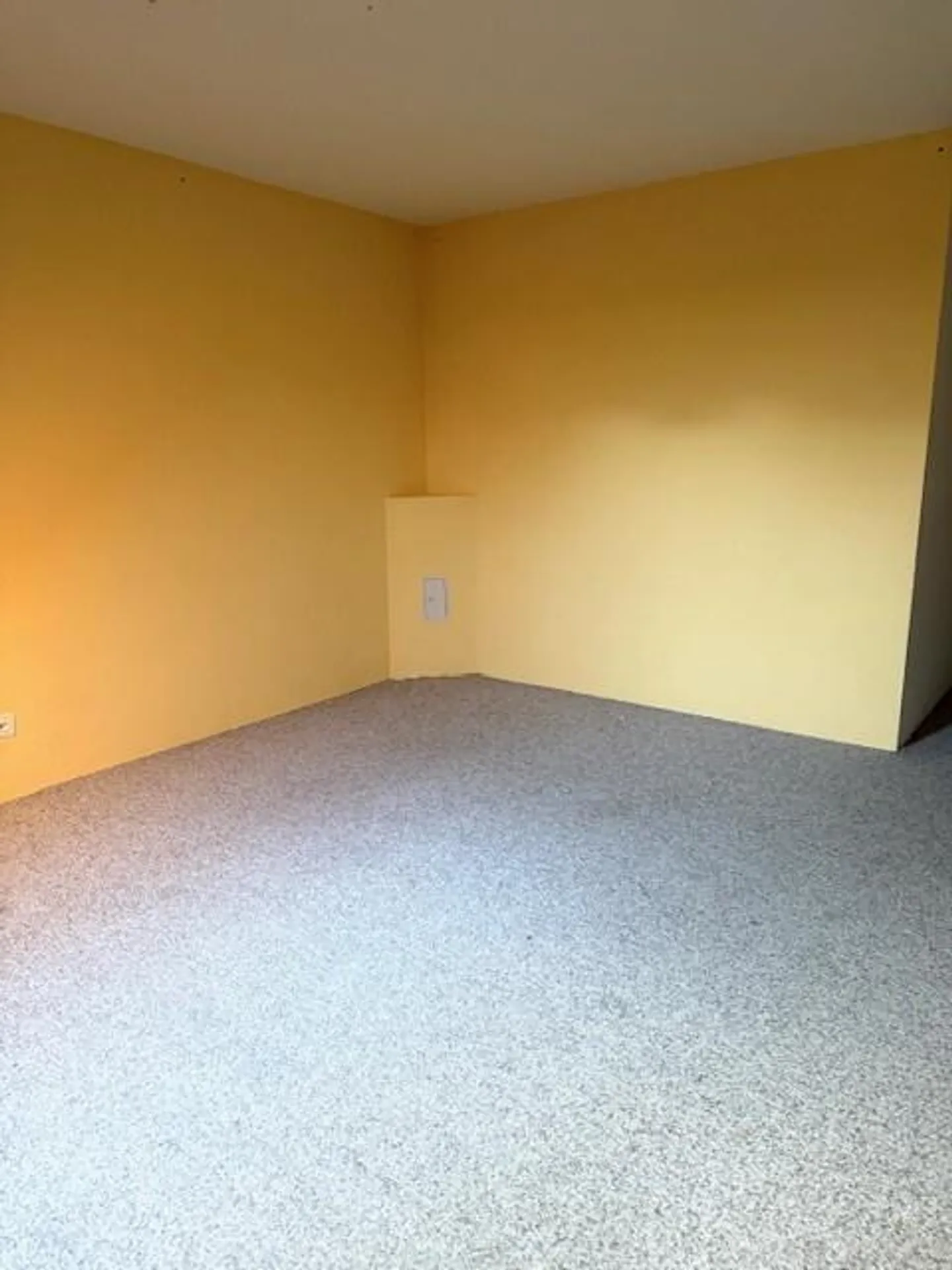 Stanza per hobby disponibile - Foto 3 di 7