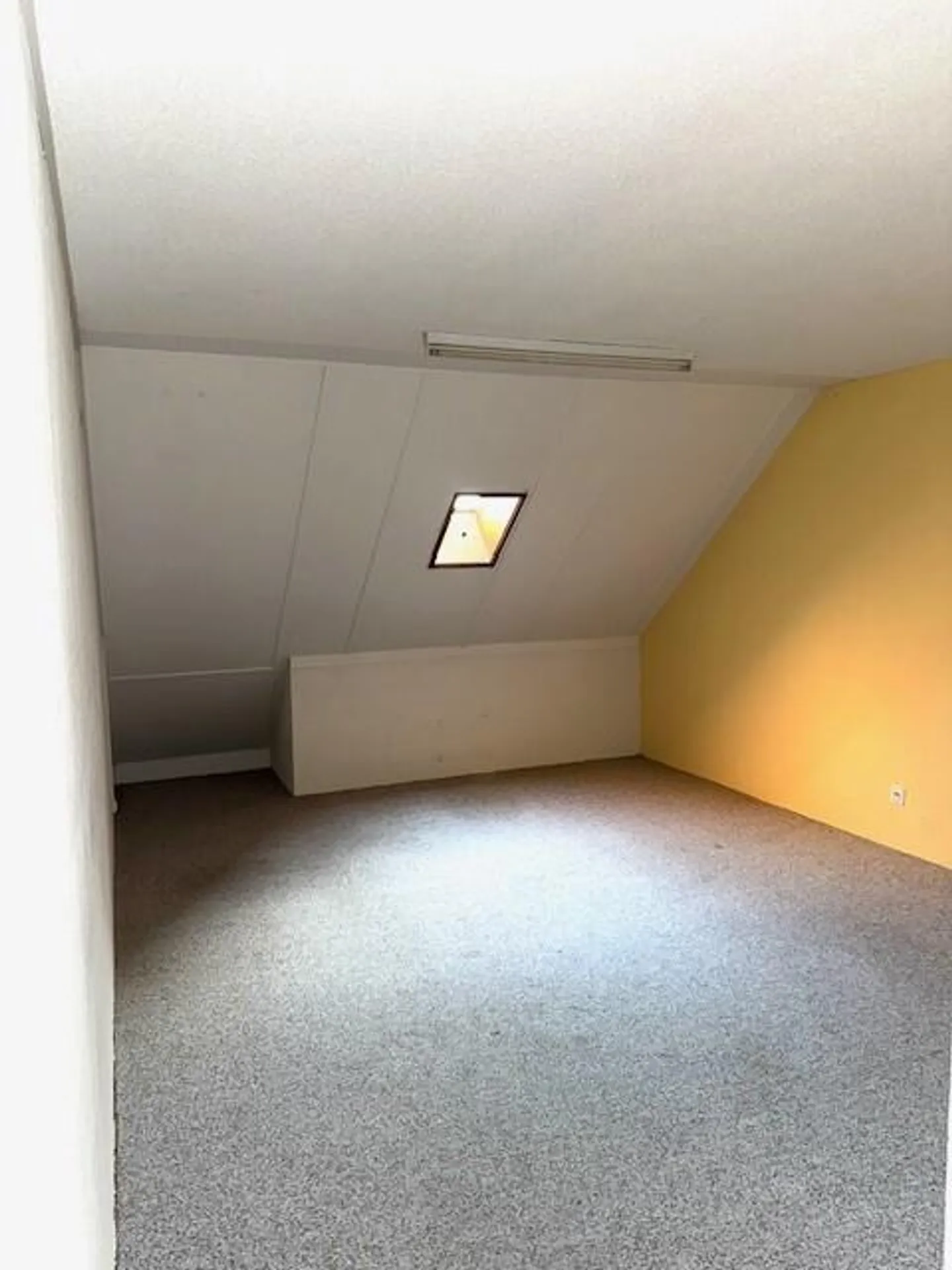 Stanza per hobby disponibile - Foto 4 di 7