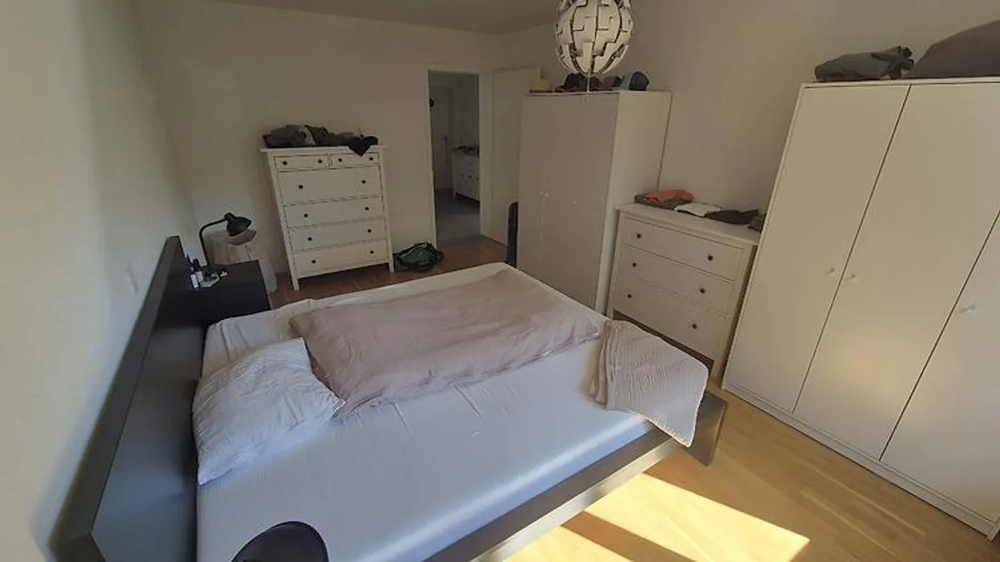 APPARTAMENTO 3 LOCALI A SOLOTHURN, ARREDATO, TEMPORANEO - Foto 5 di 10