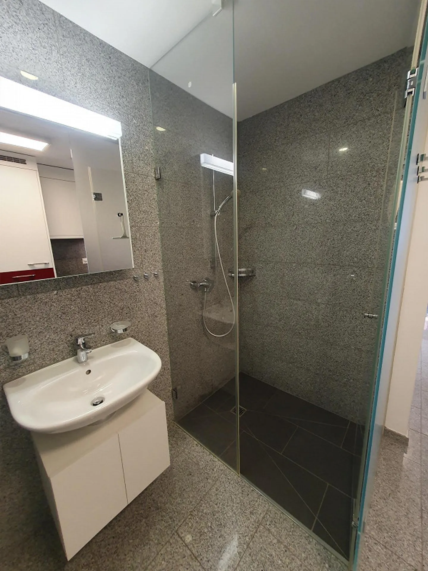 Appartamento 1 stanza centrale, parzialmente arredato a Flims Waldhaus - Foto 9 di 11