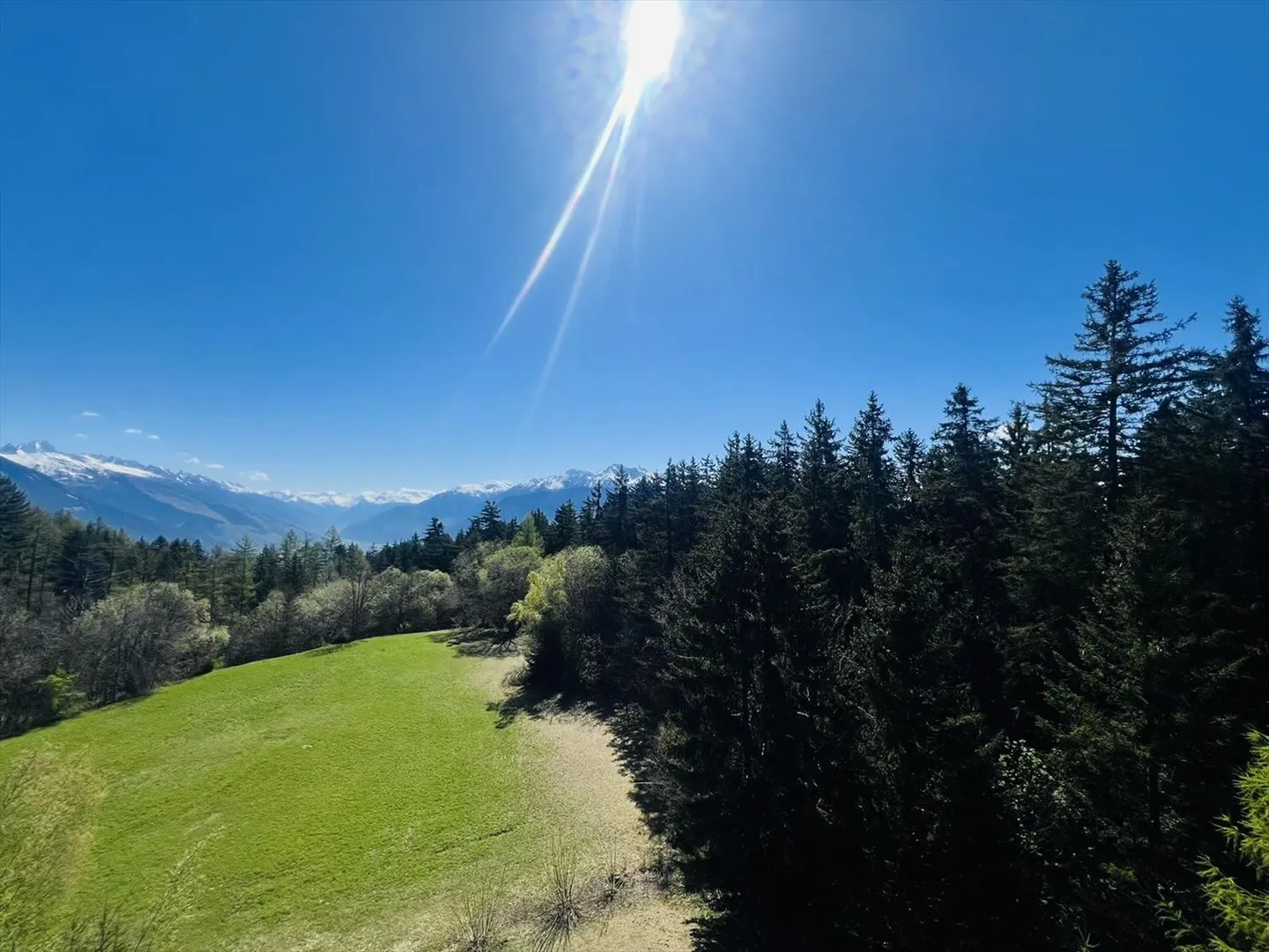Geräumig und hell, 3.5 Zimmer renoviert - Magnifique Aussicht - Sehr gut gelegen - Ruhige Lage - Foto 7 von 15