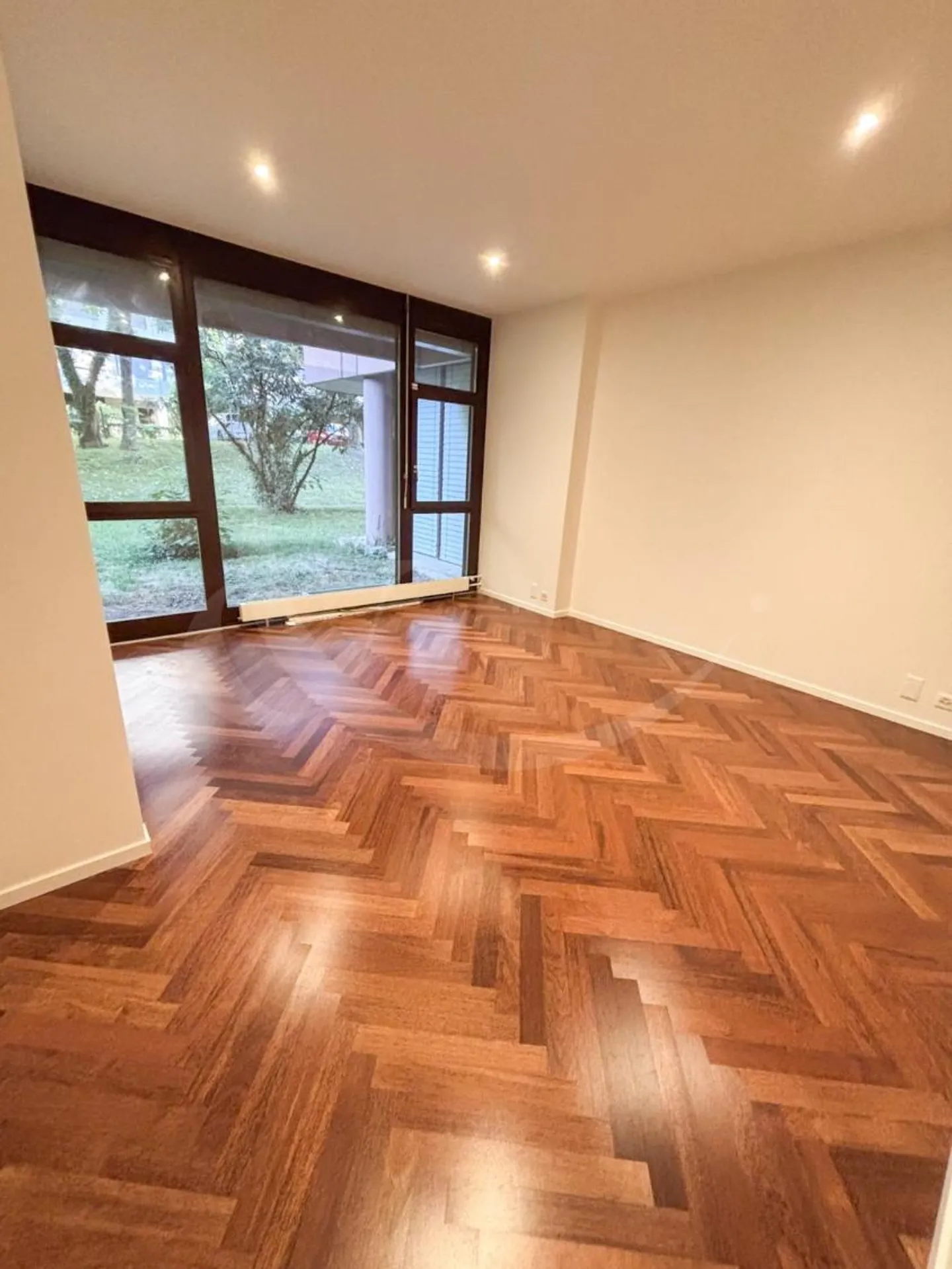 Elegant Apartment in Malagnou - Photo 4 of 4