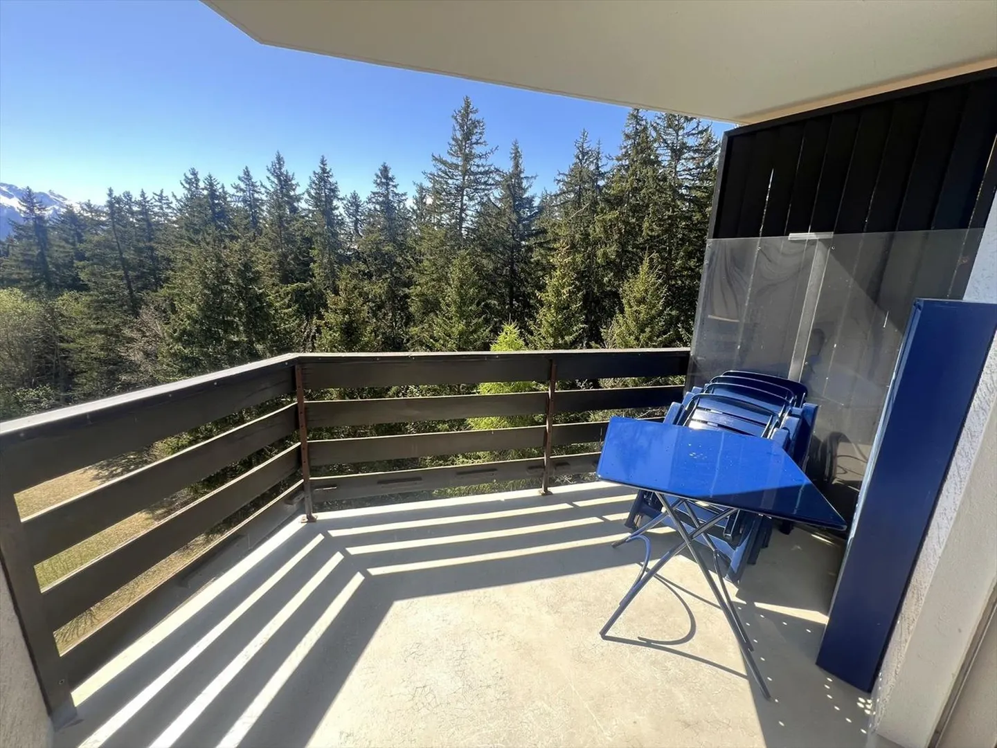 Geräumig und hell, 3.5 Zimmer renoviert - Magnifique Aussicht - Sehr gut gelegen - Ruhige Lage - Foto 6 von 15