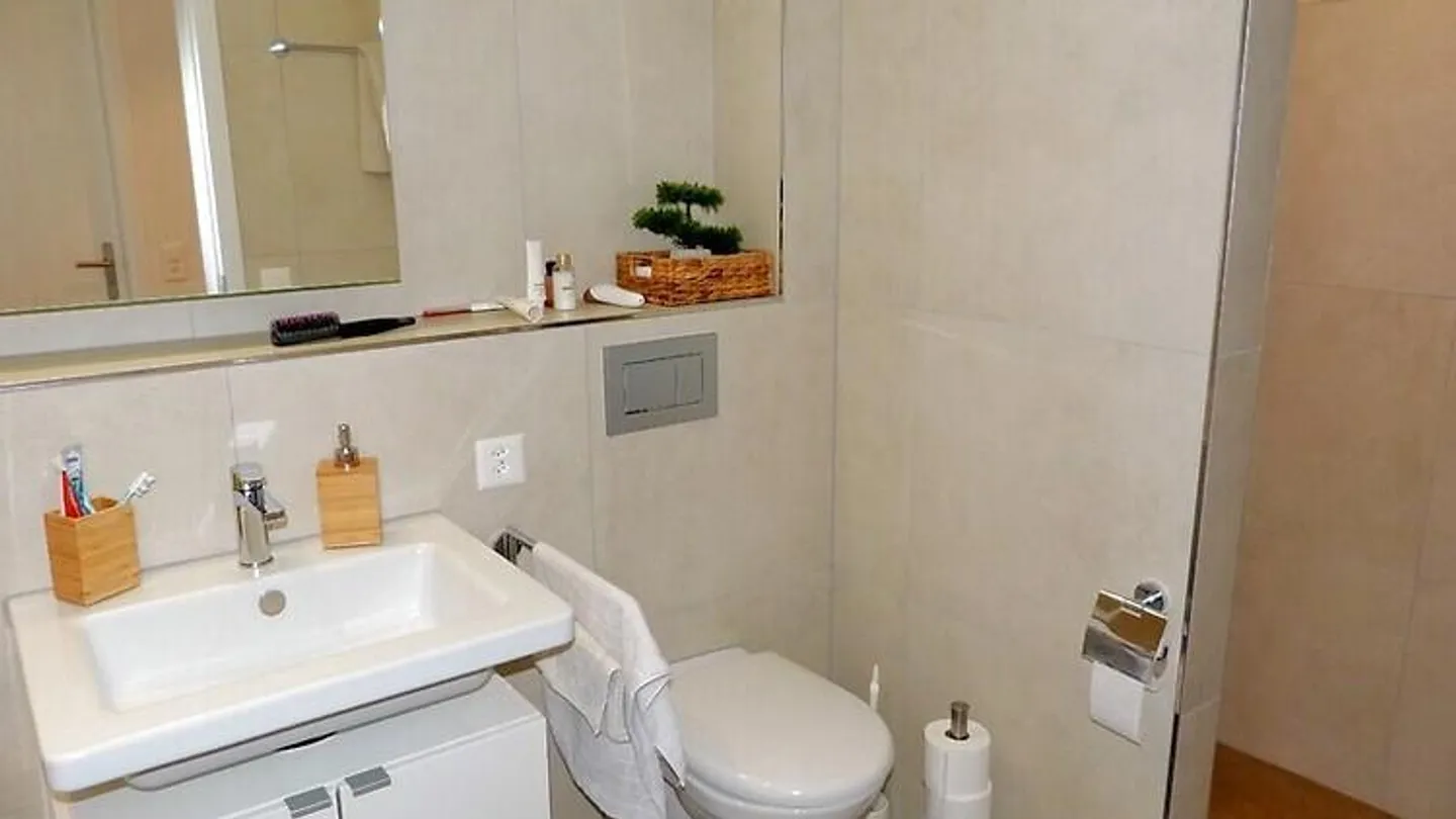 APPARTAMENTO 3½ LOCALI A WIEDLISBACH (BE), ARREDATO, TEMPORANEO - Foto 8 di 10