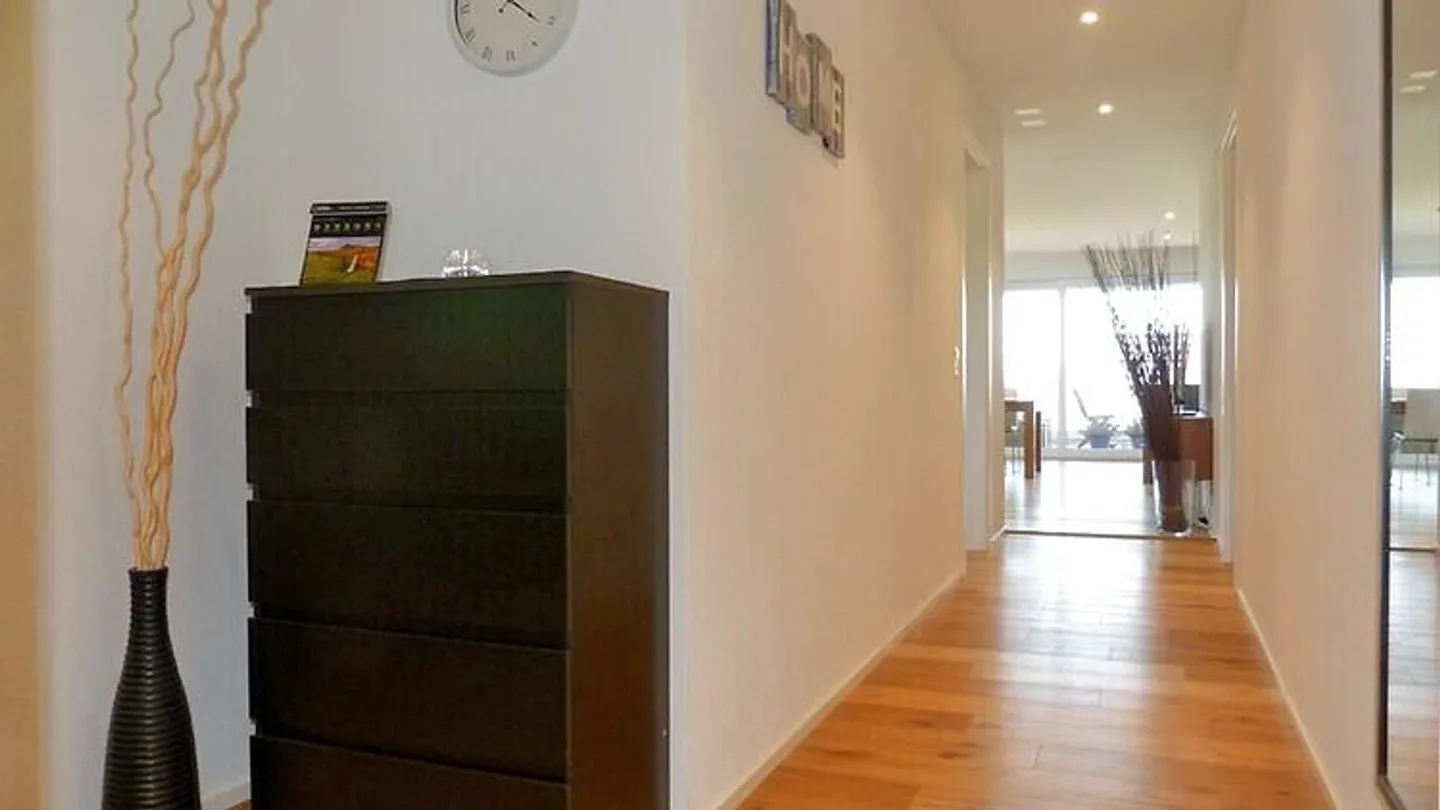 APPARTAMENTO 3½ LOCALI A WIEDLISBACH (BE), ARREDATO, TEMPORANEO - Foto 9 di 10