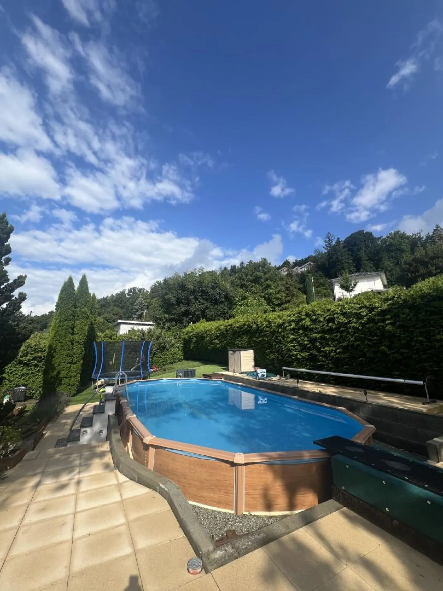 Villa indipendente 5.5 stanze a Grimisuat - Foto 3 di 10