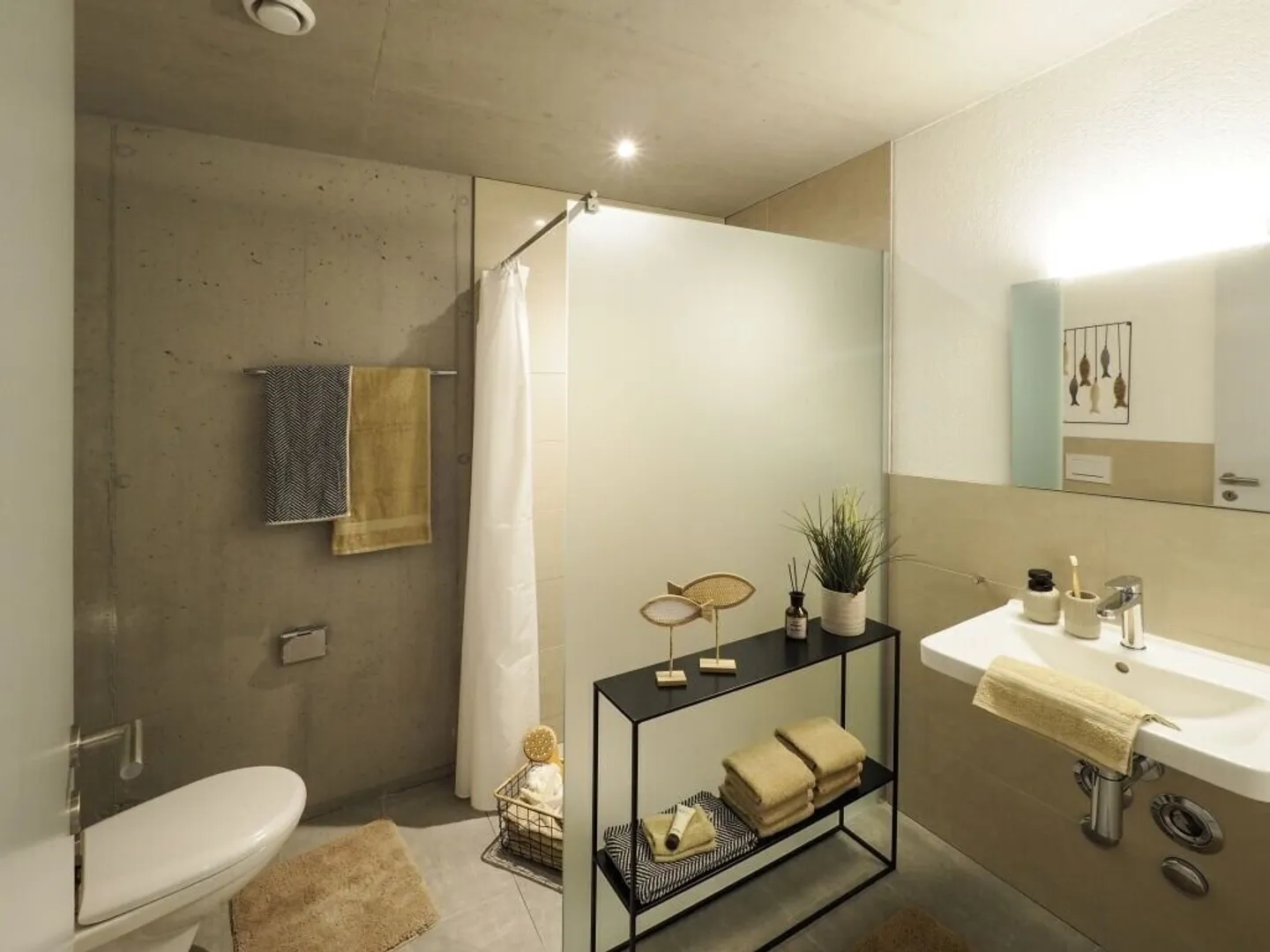 Apartment seeks single - Photo 5 of 7