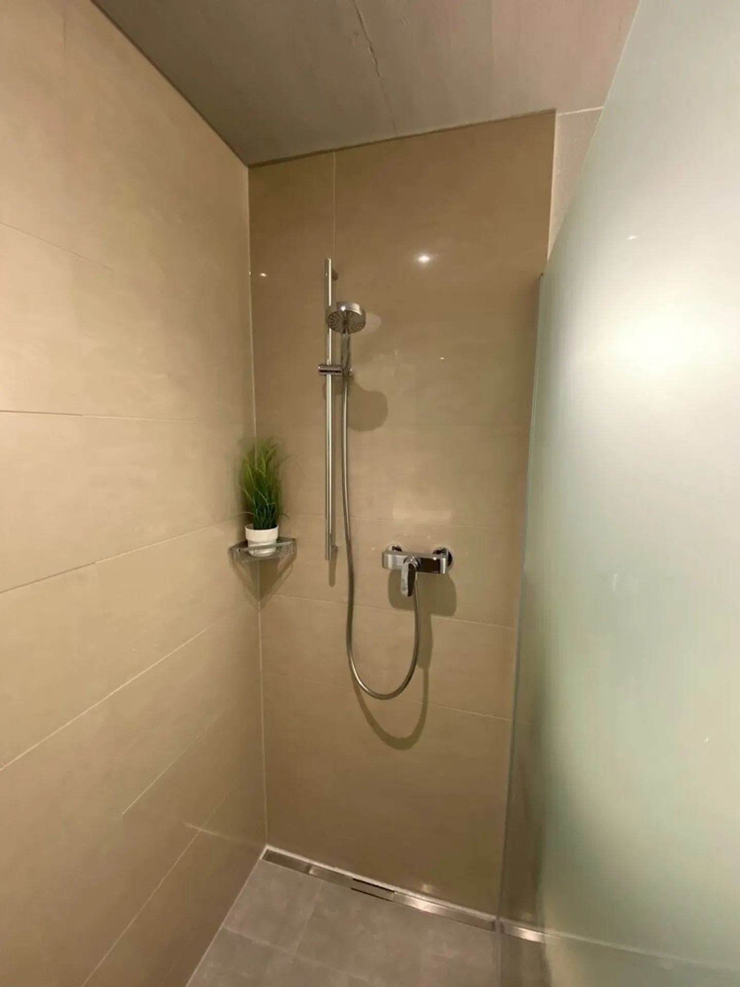 Apartment seeks single - Photo 6 of 7