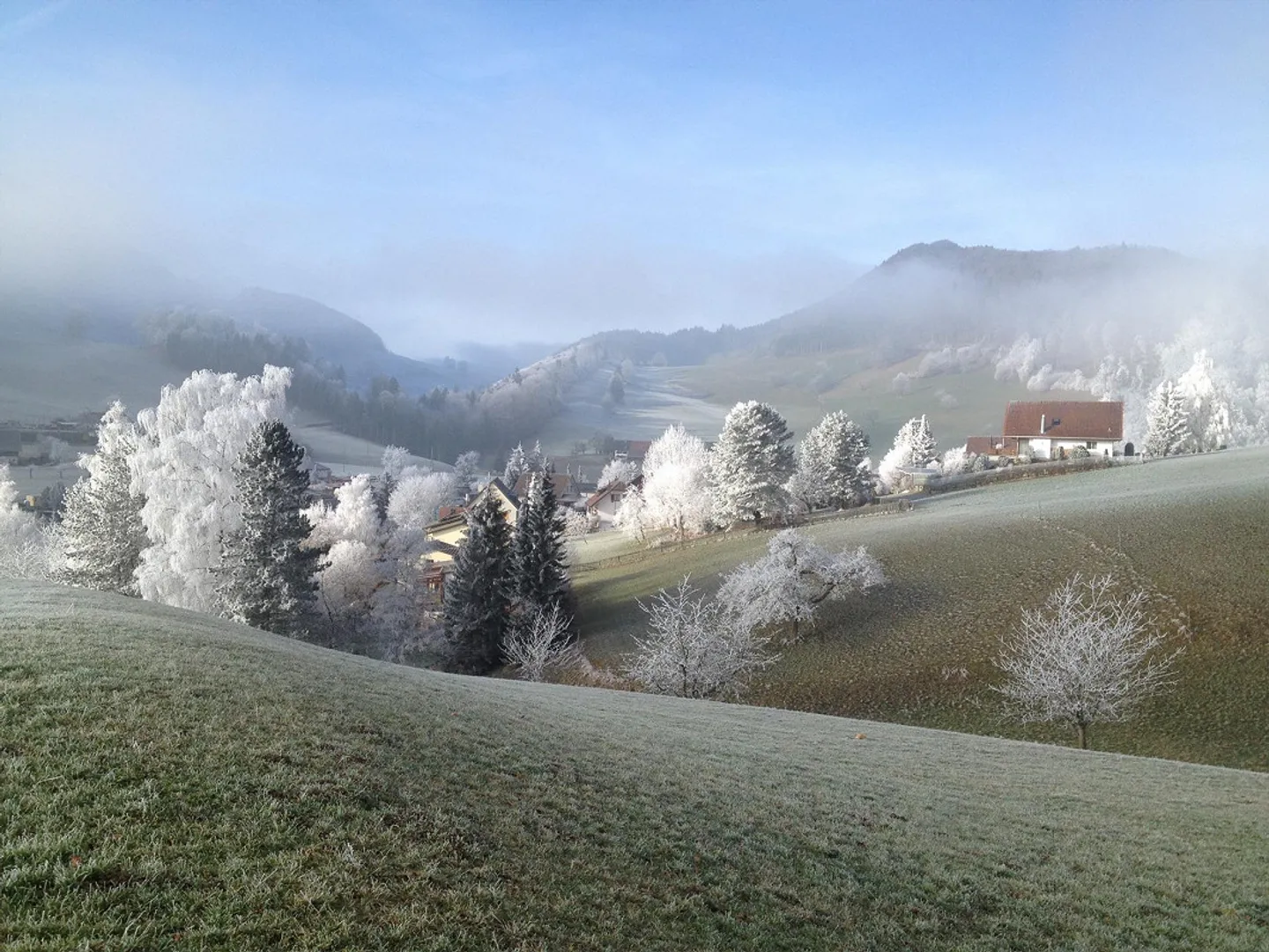 Charmantes Sommerhaus - Foto 4 von 14