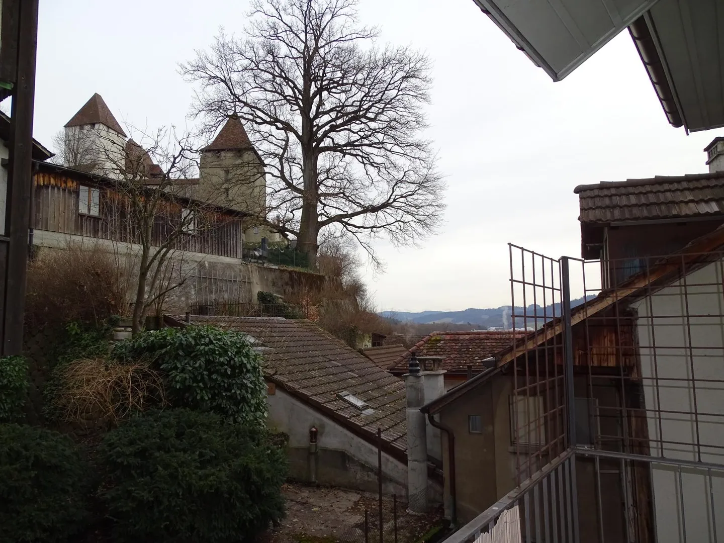 2.5 Room Apartment - Photo 1 of 1