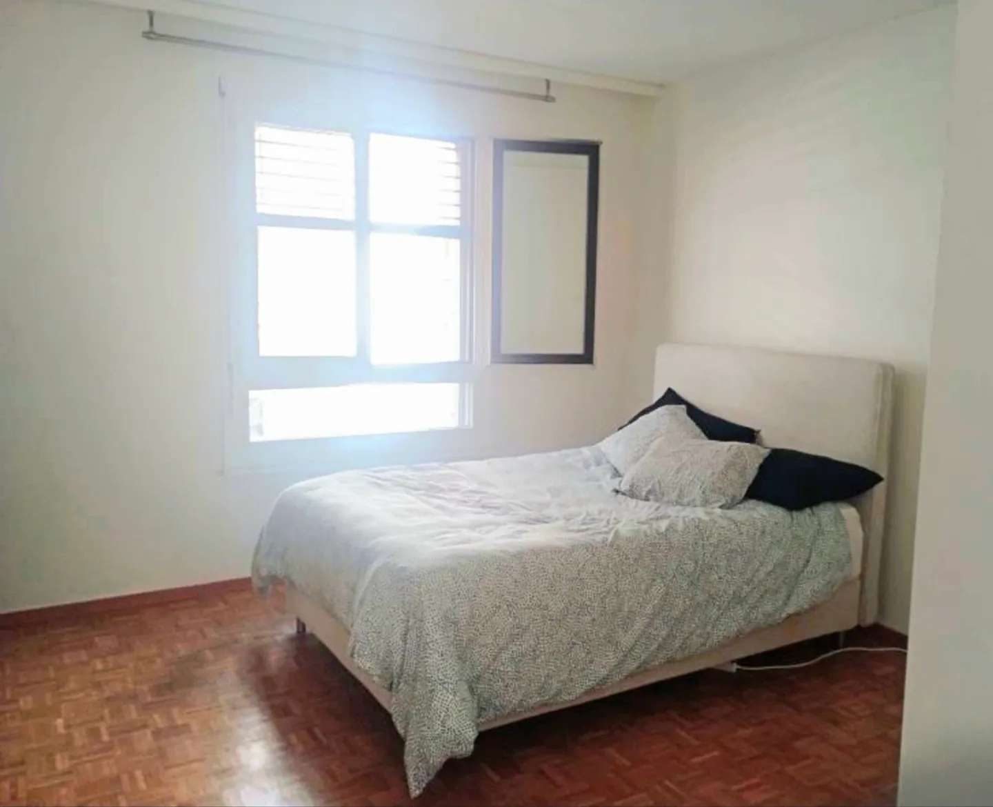 Charming Apartment in Eaux-Vives - Photo 4 of 4