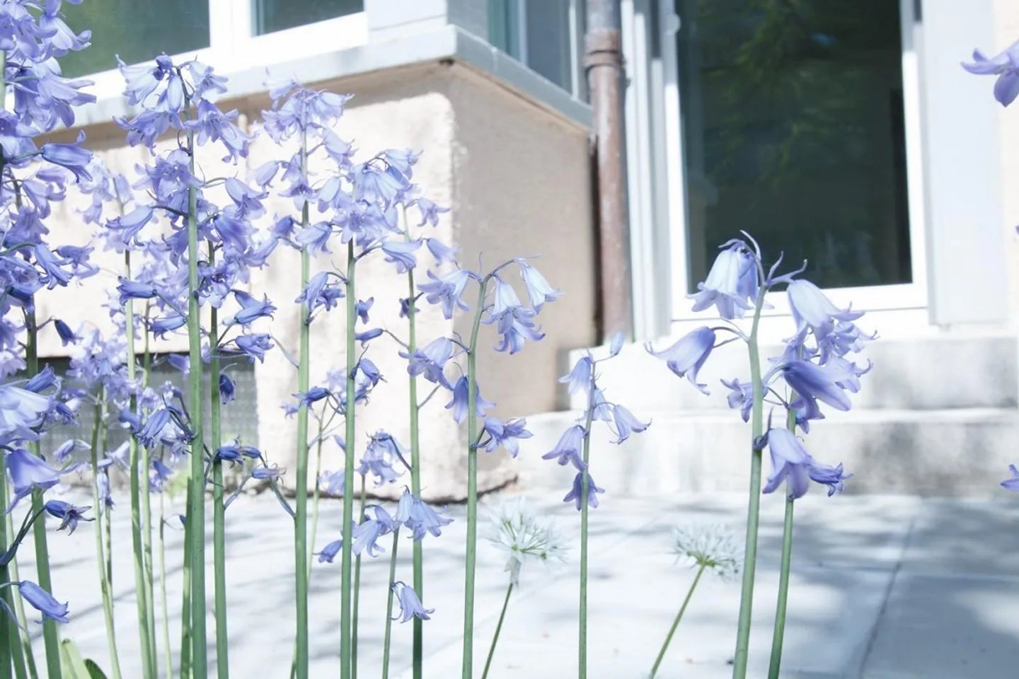 Appartement de rêve récemment rénové avec espace de jardin - Photo 4 sur 7
