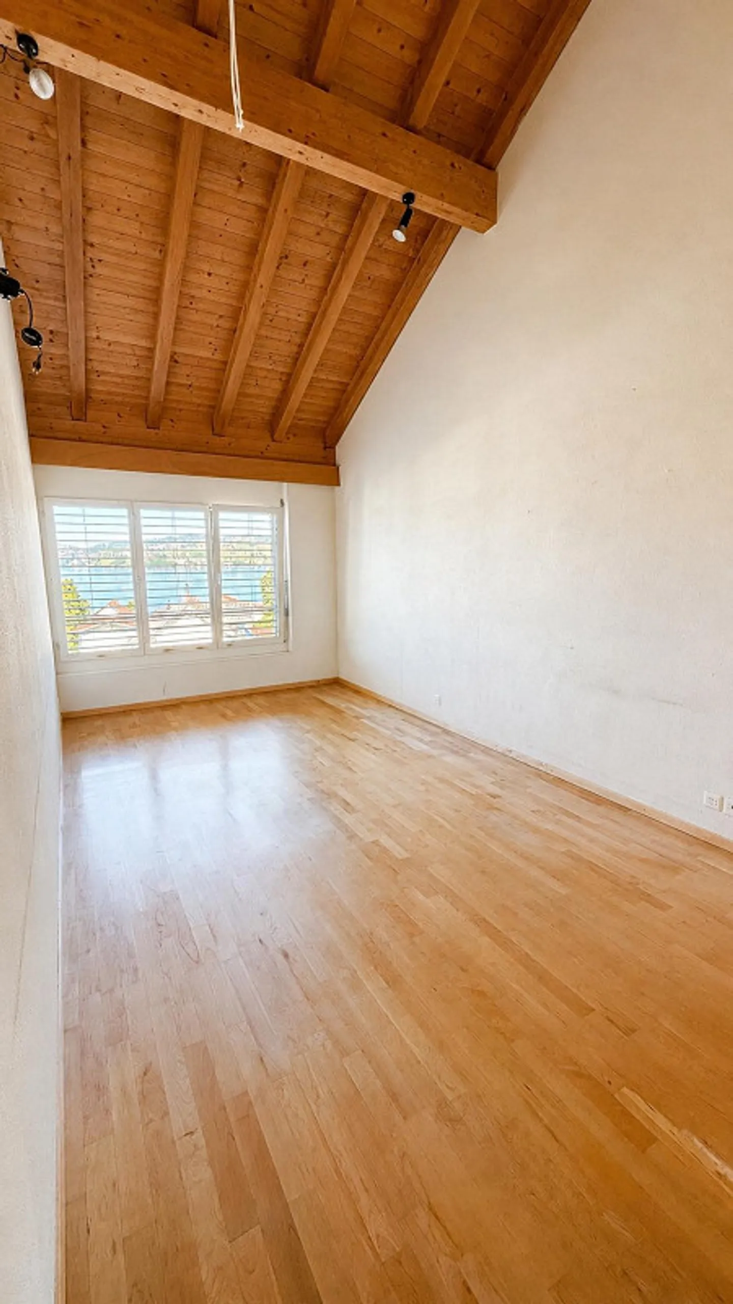 Panorama lake view meets charming living - Photo 13 of 24
