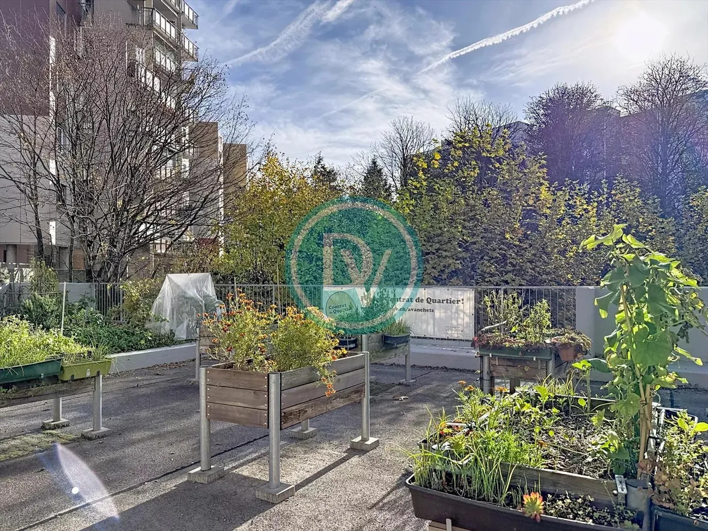 4-Zimmer-Wohnung - Foto 10 von 13