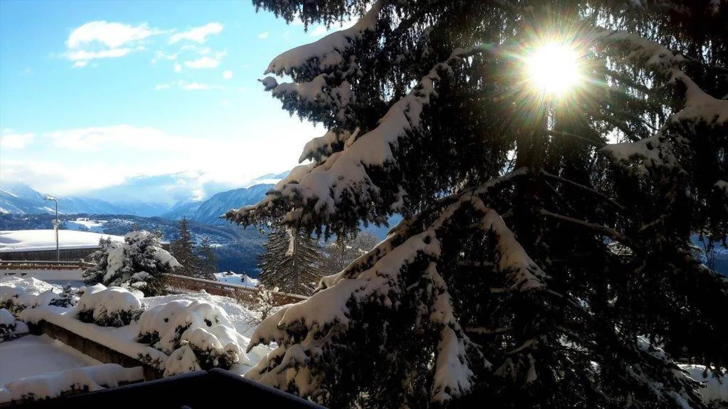 Appartement avec 3 chambres à Anzère - Photo 9 sur 11