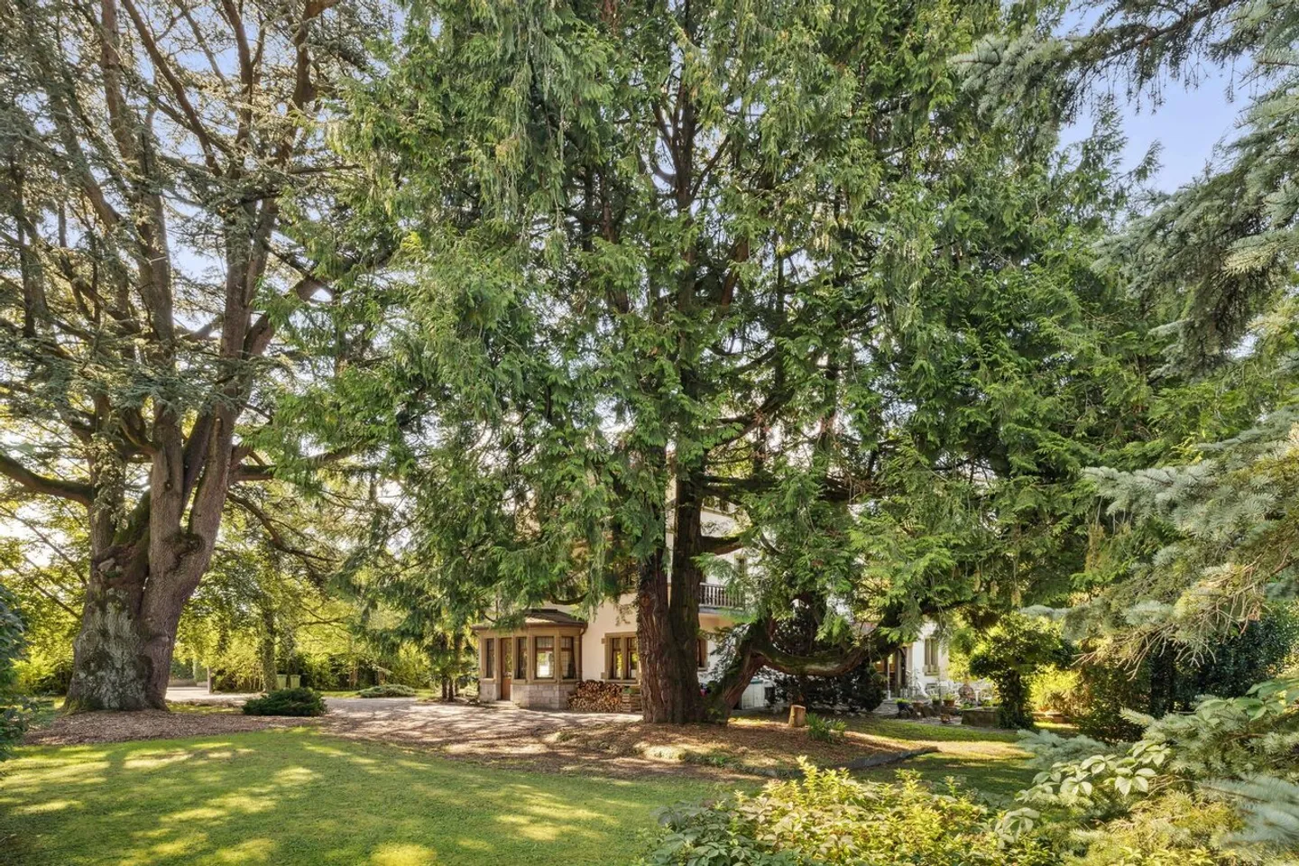 Casa padronale ristrutturata, parco incantevole con alberi secolari - Foto 22 di 29