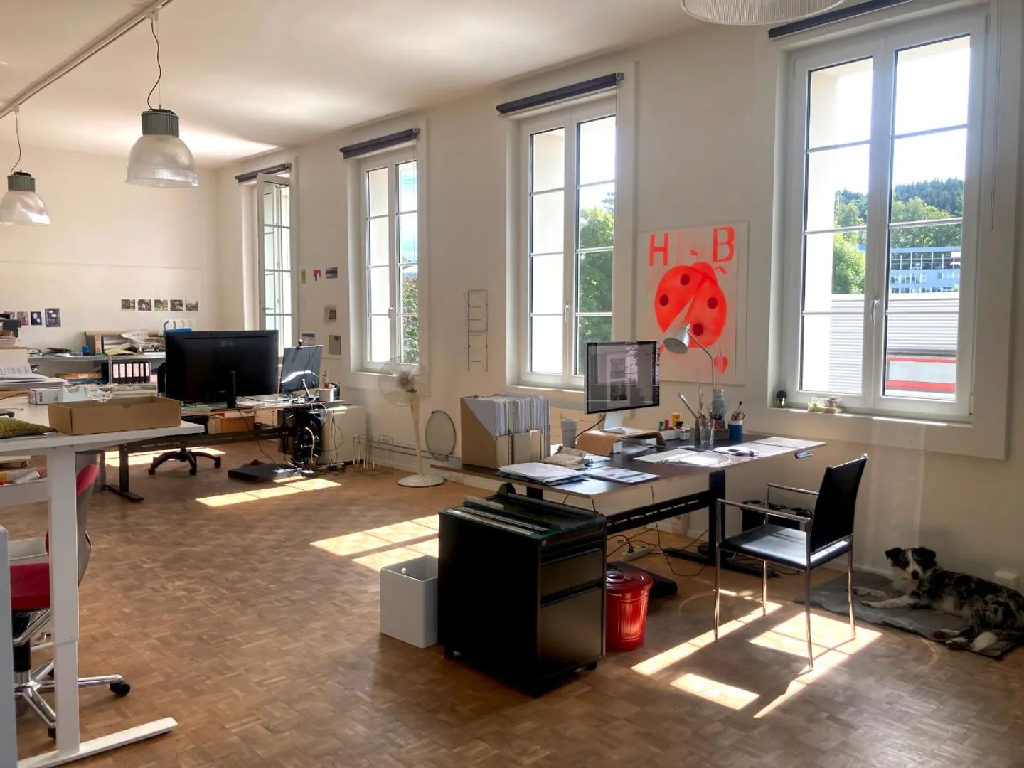 Ufficio - Foto 3 di 5