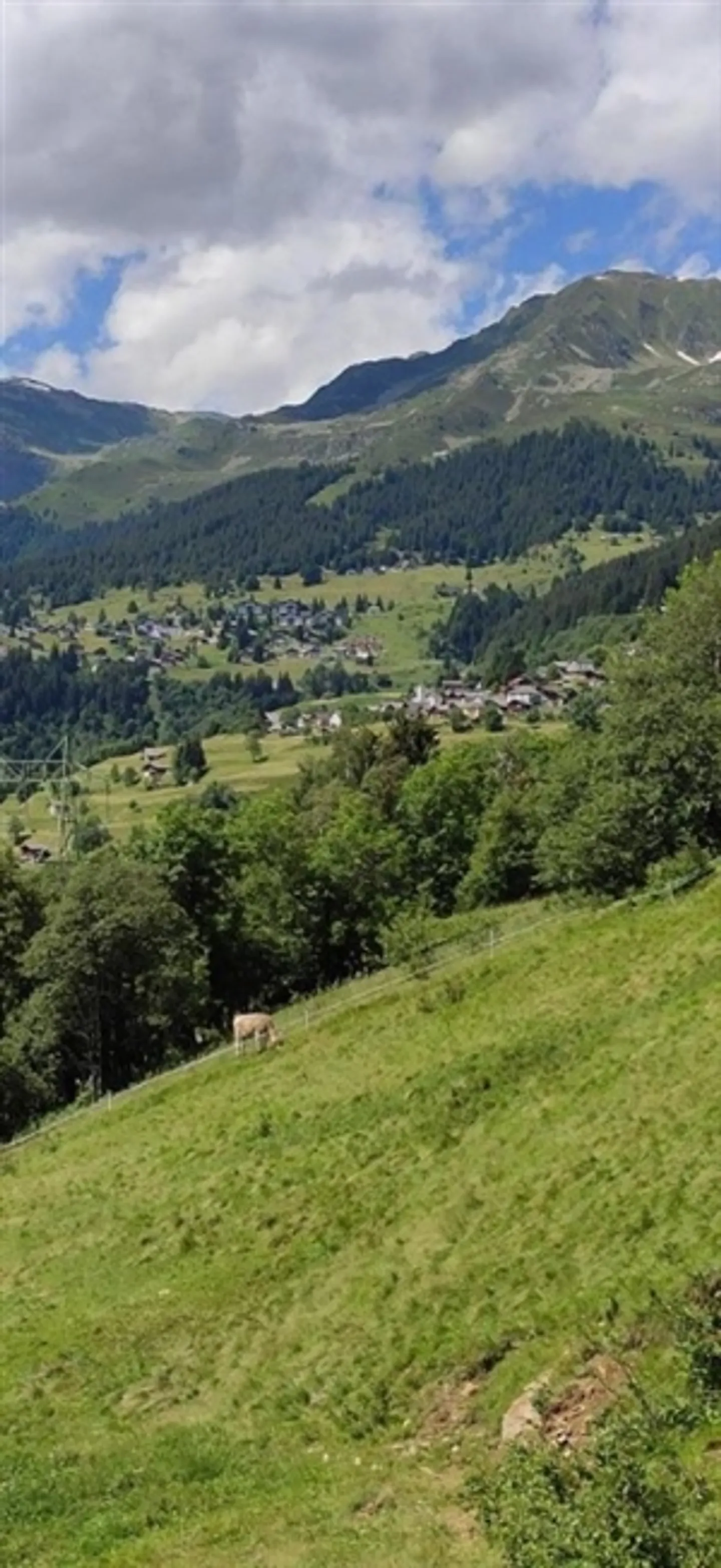 «Rossura» - Foto 20 von 20