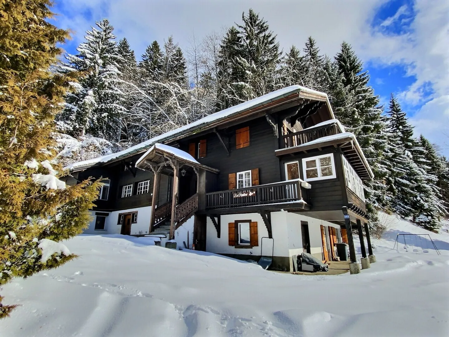 Immeuble mixte avec vue alpine - Photo 3 sur 4