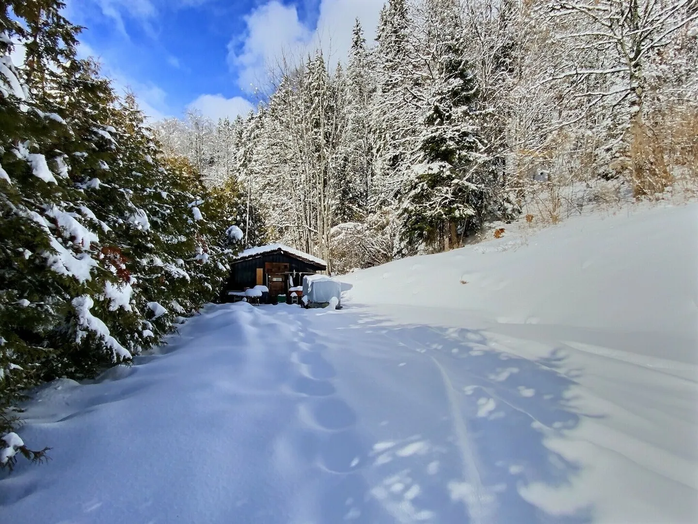 Immeuble mixte avec vue alpine - Photo 4 sur 4