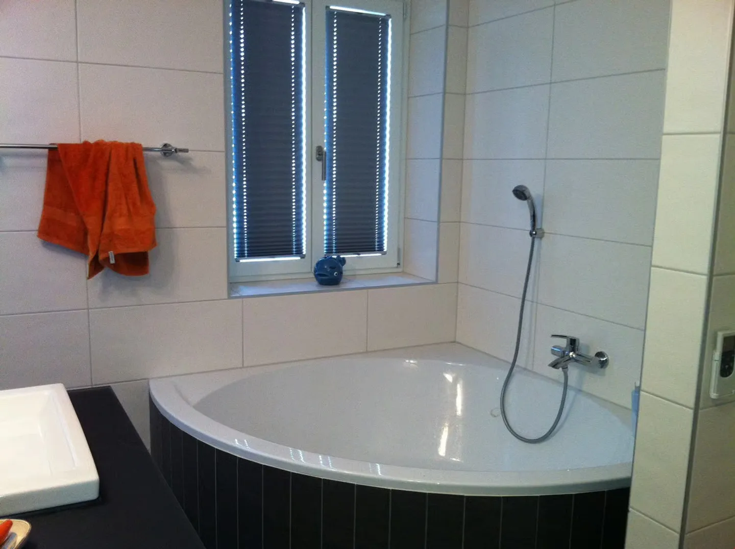 Appartement au rez-de-chaussée fraîchement rénové, deux salles de bains et charmante maison rustique - Photo 6 sur 9