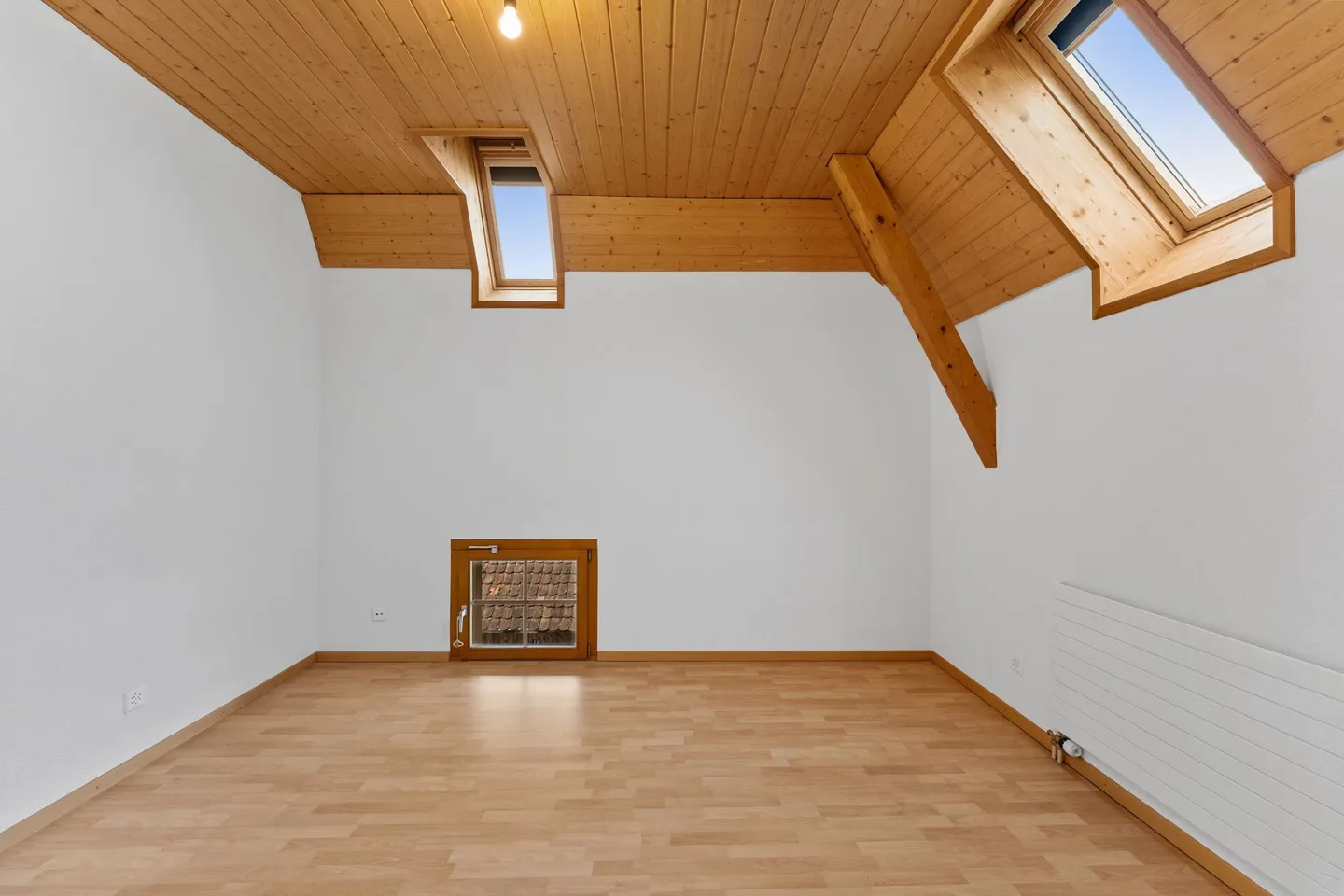 Two-family house / single-family house with apartment - Photo 17 of 30