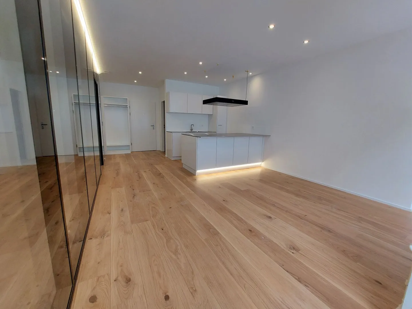 Renovated apartment for rent - Photo 3 of 9