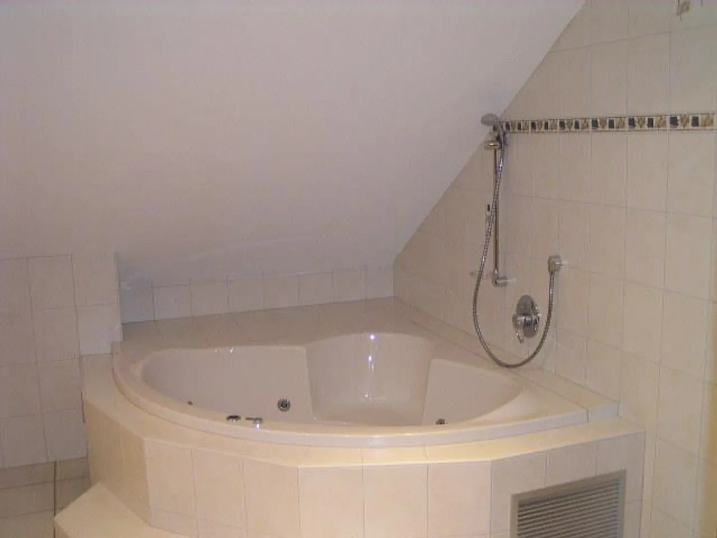 Attique à vendre - Photo 2 sur 10