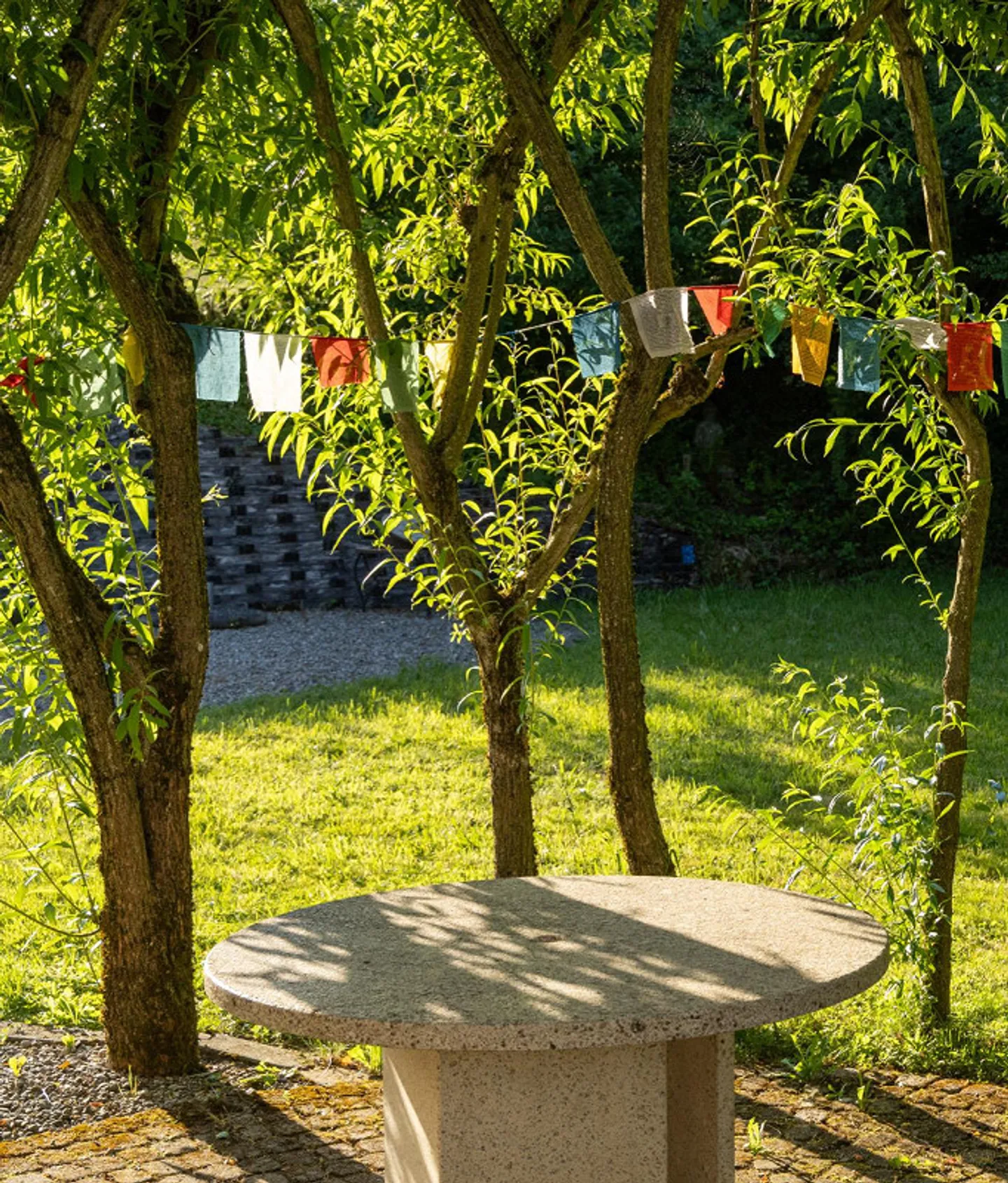Semi-Detached Family House with Rigi View, Garden and Plenty of Privacy - Photo 5 of 12