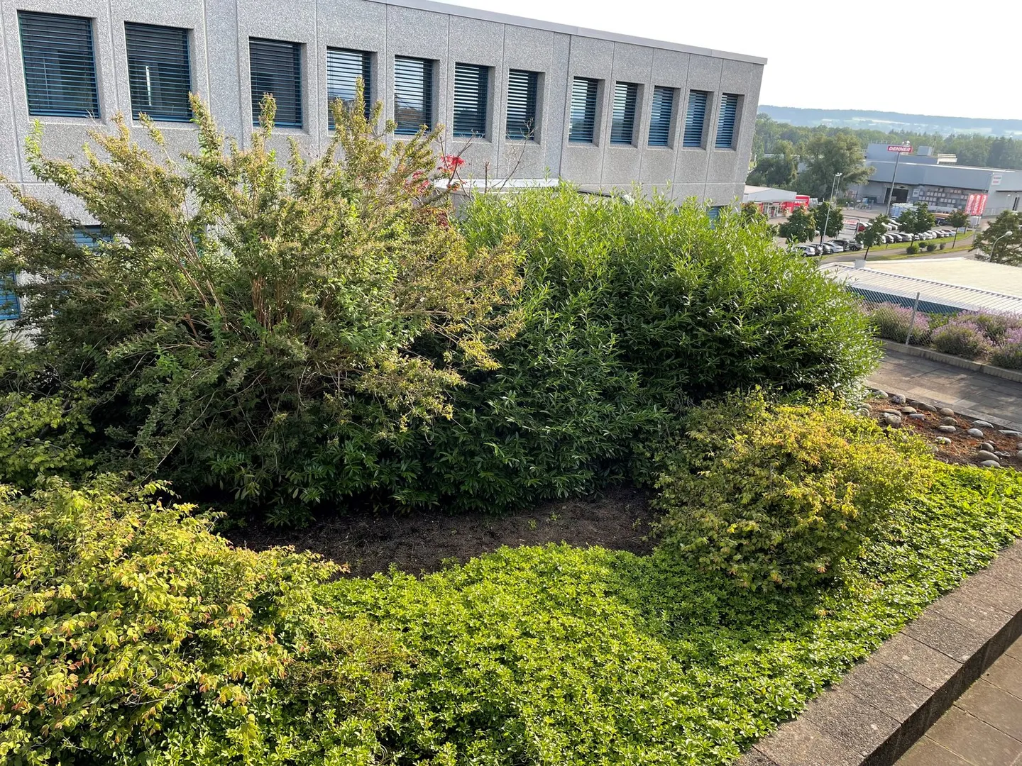 Bürofläche mieten - Foto 2 von 5